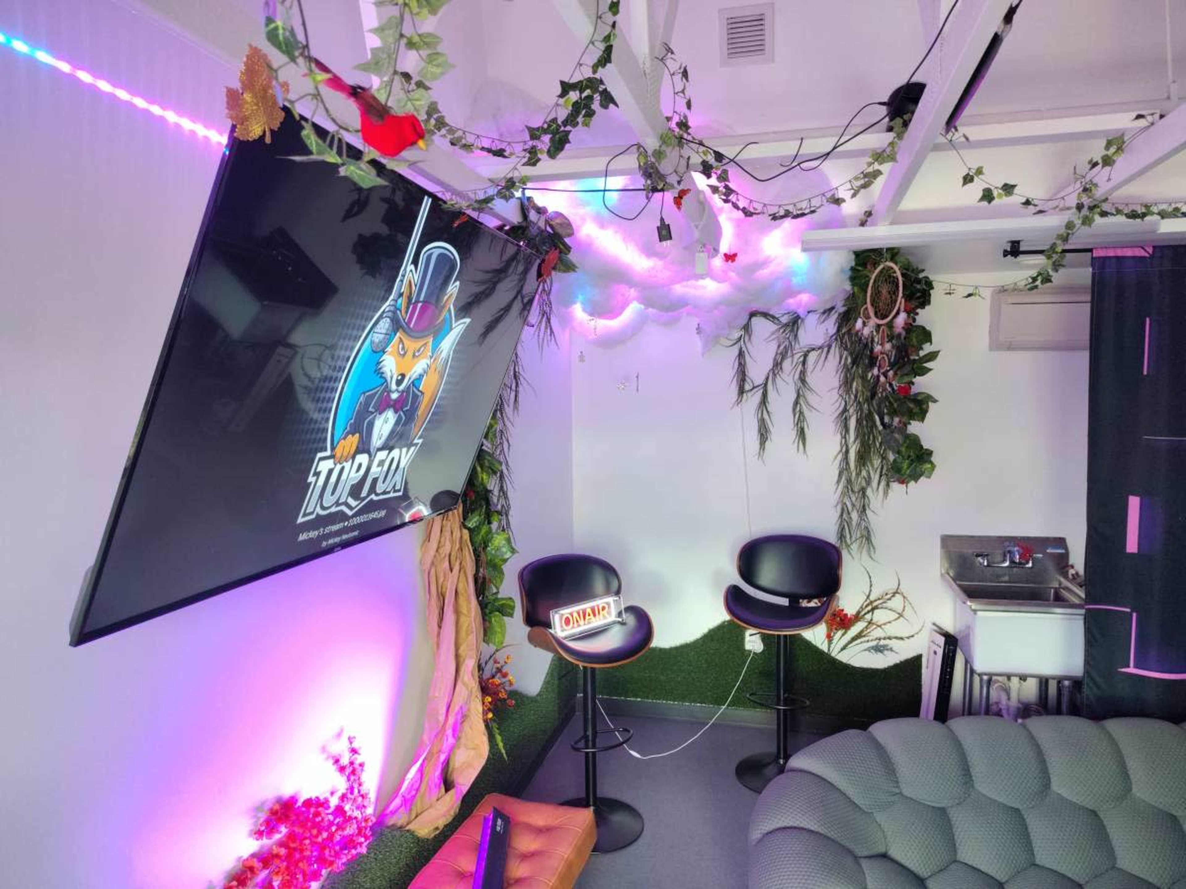 The image shows a modern, brightly lit room featuring a large screen displaying the "Top Fox" logo, with plush seating and decorative plants.