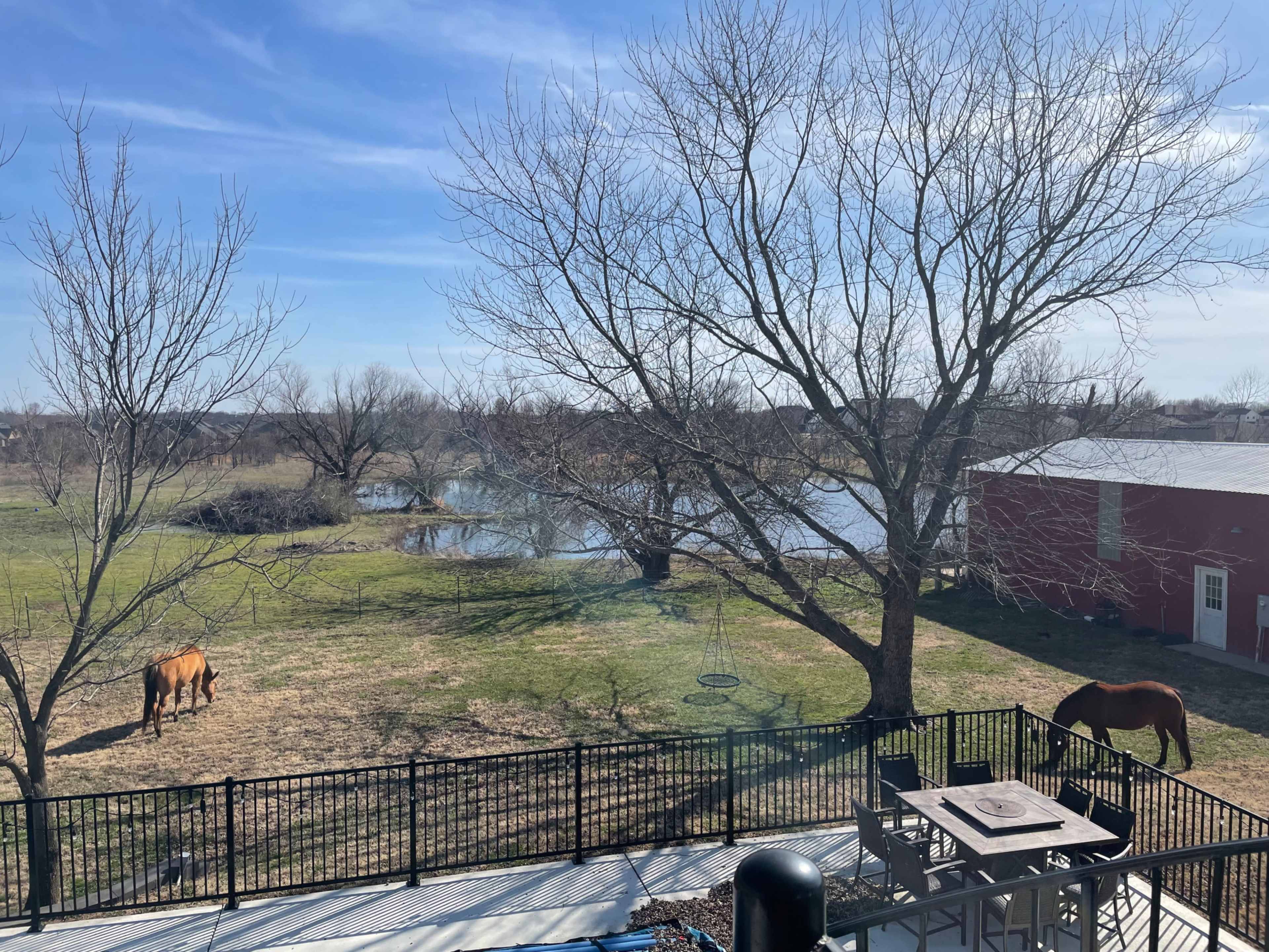 The image shows a view from a balcony overlooking a grassy area with two horses grazing near a pond and a red barn.