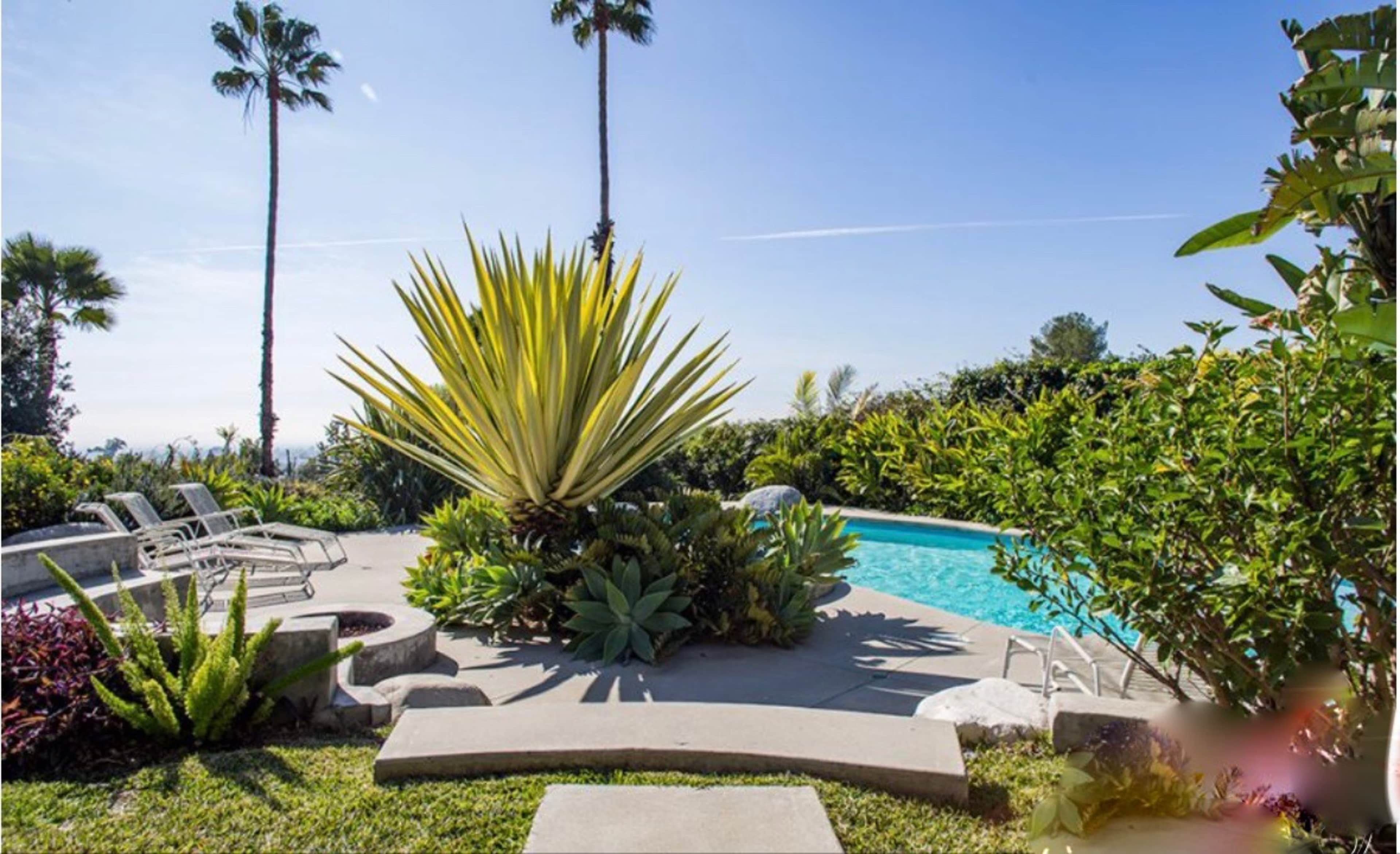 A poolside area with lounge chairs and a large succulent plant surrounded by tropical vegetation.