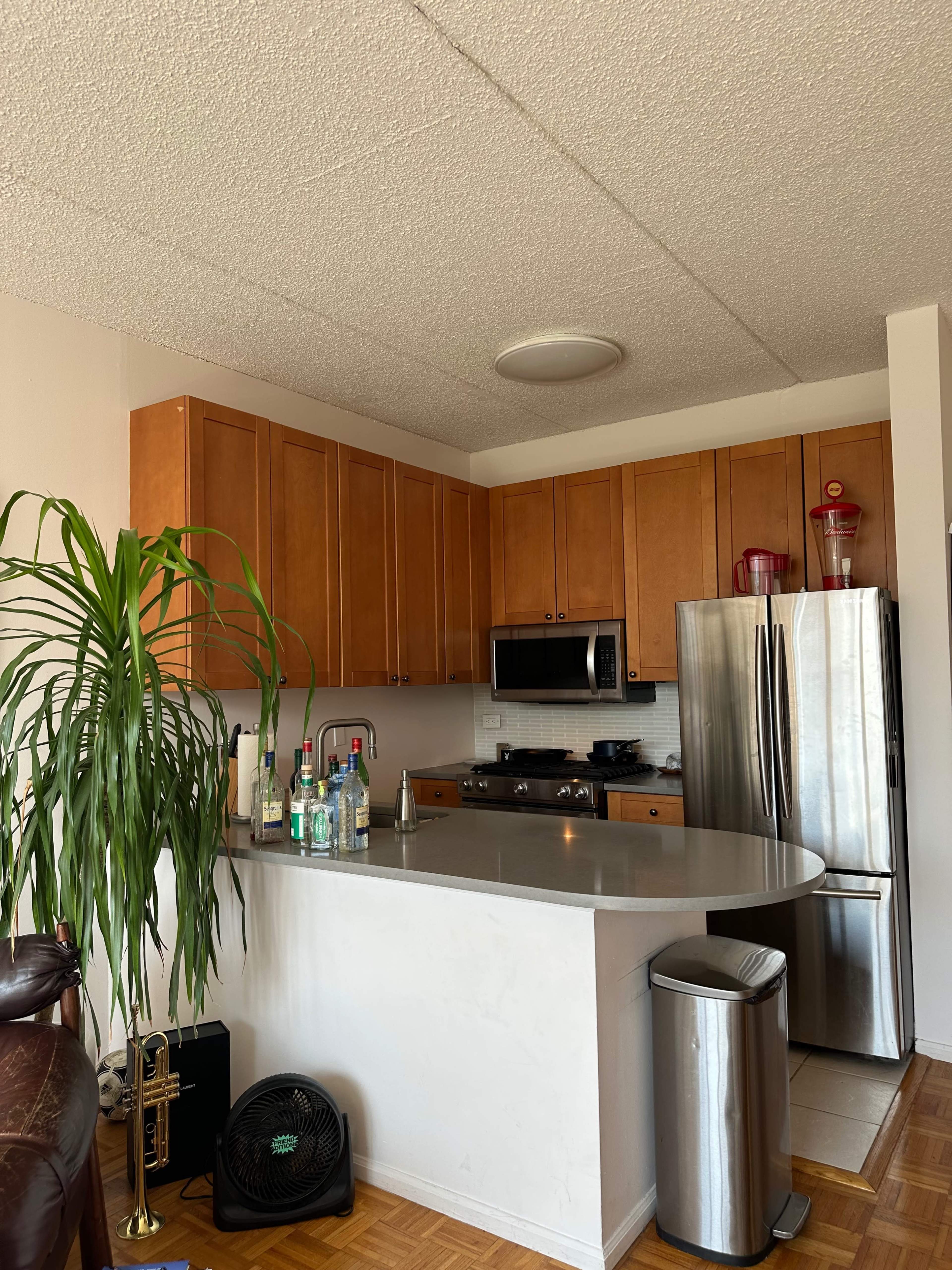 A modern kitchen features wooden cabinetry, stainless steel appliances, a countertop with bar seating, and a potted plant in the corner.