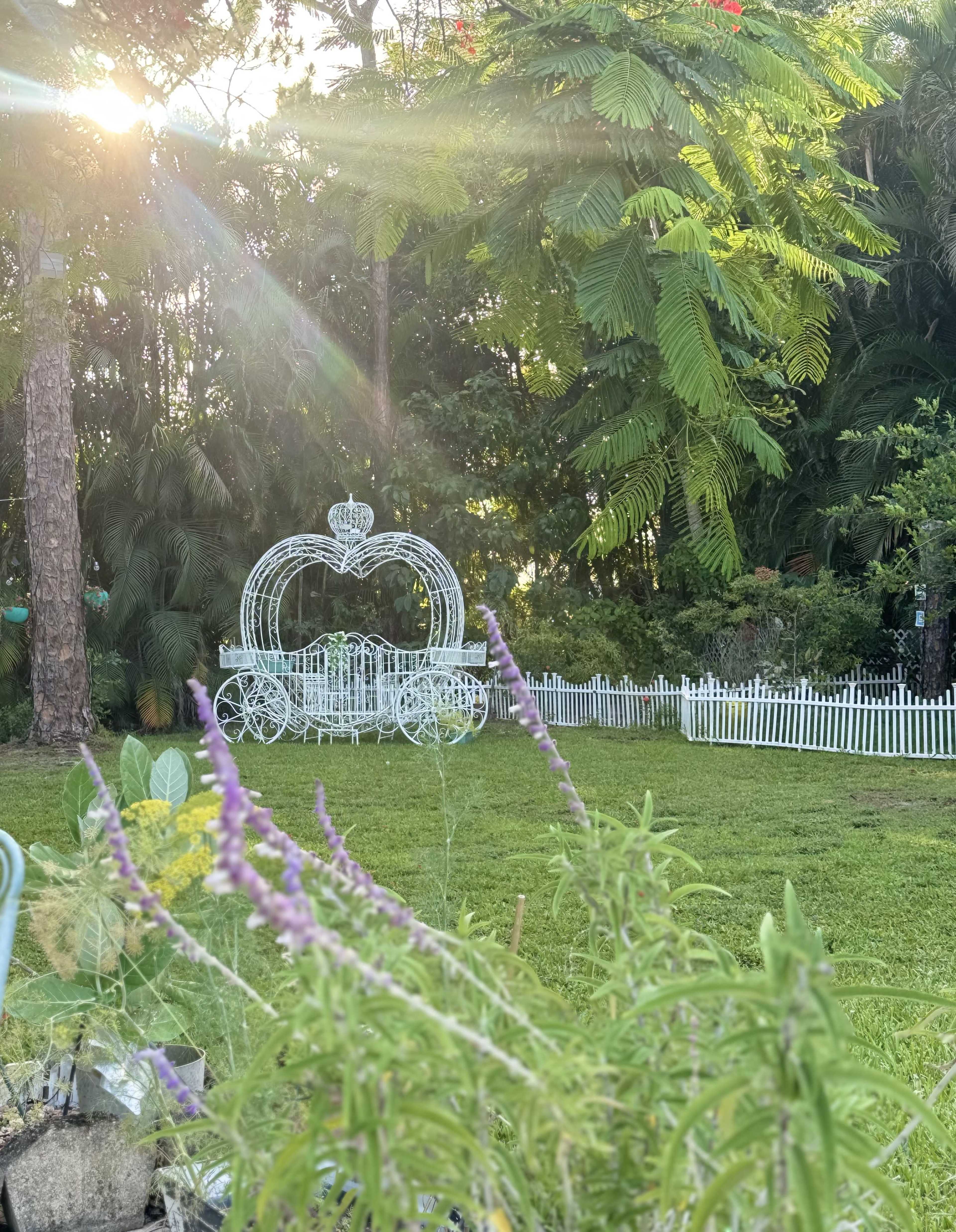 Relaxing butterfly retreat with a pool Image in The Acreage, West Palm Beach, FL