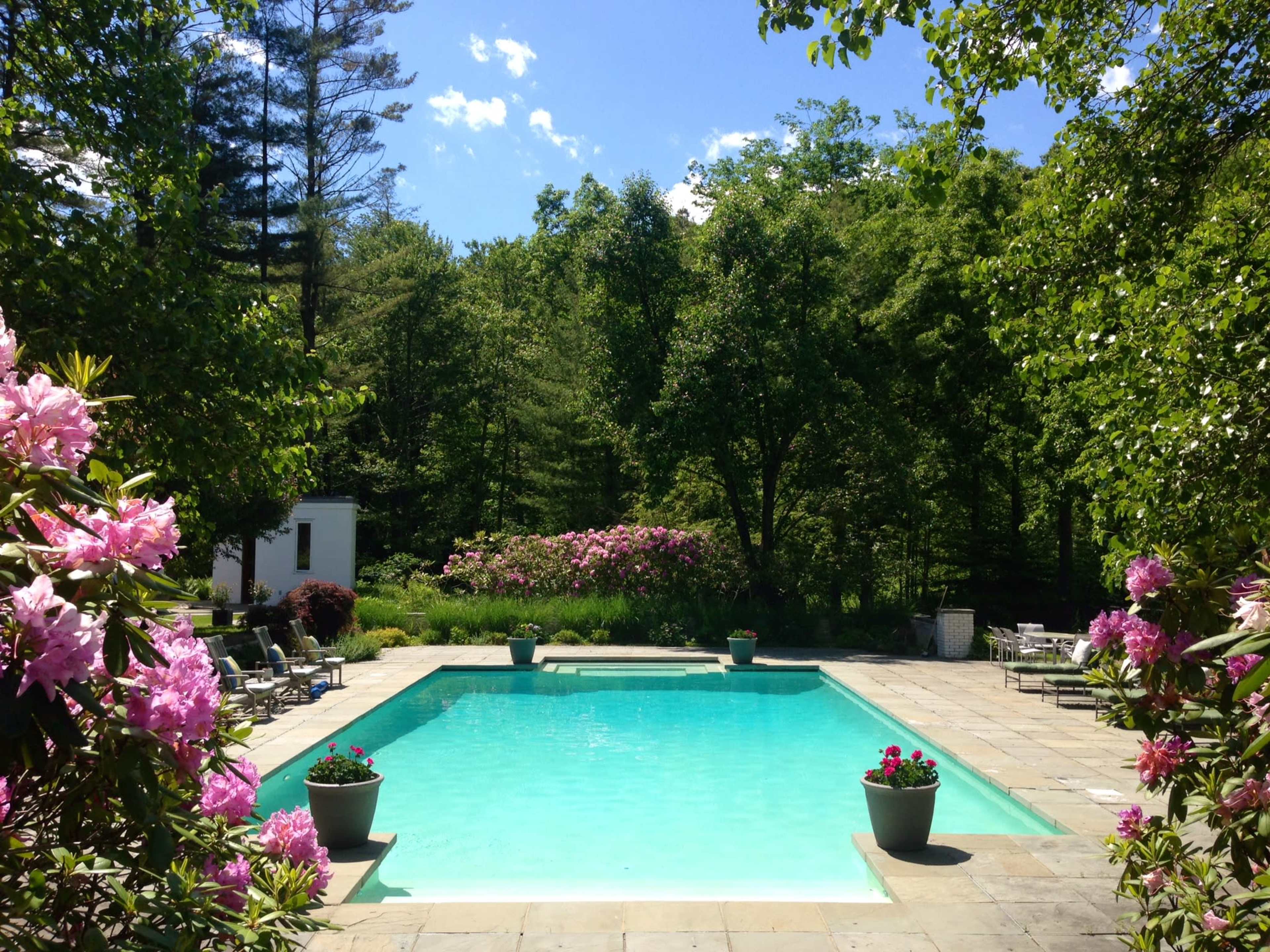 A swimming pool surrounded by greenery and flowers sits in a sunlit outdoor area.