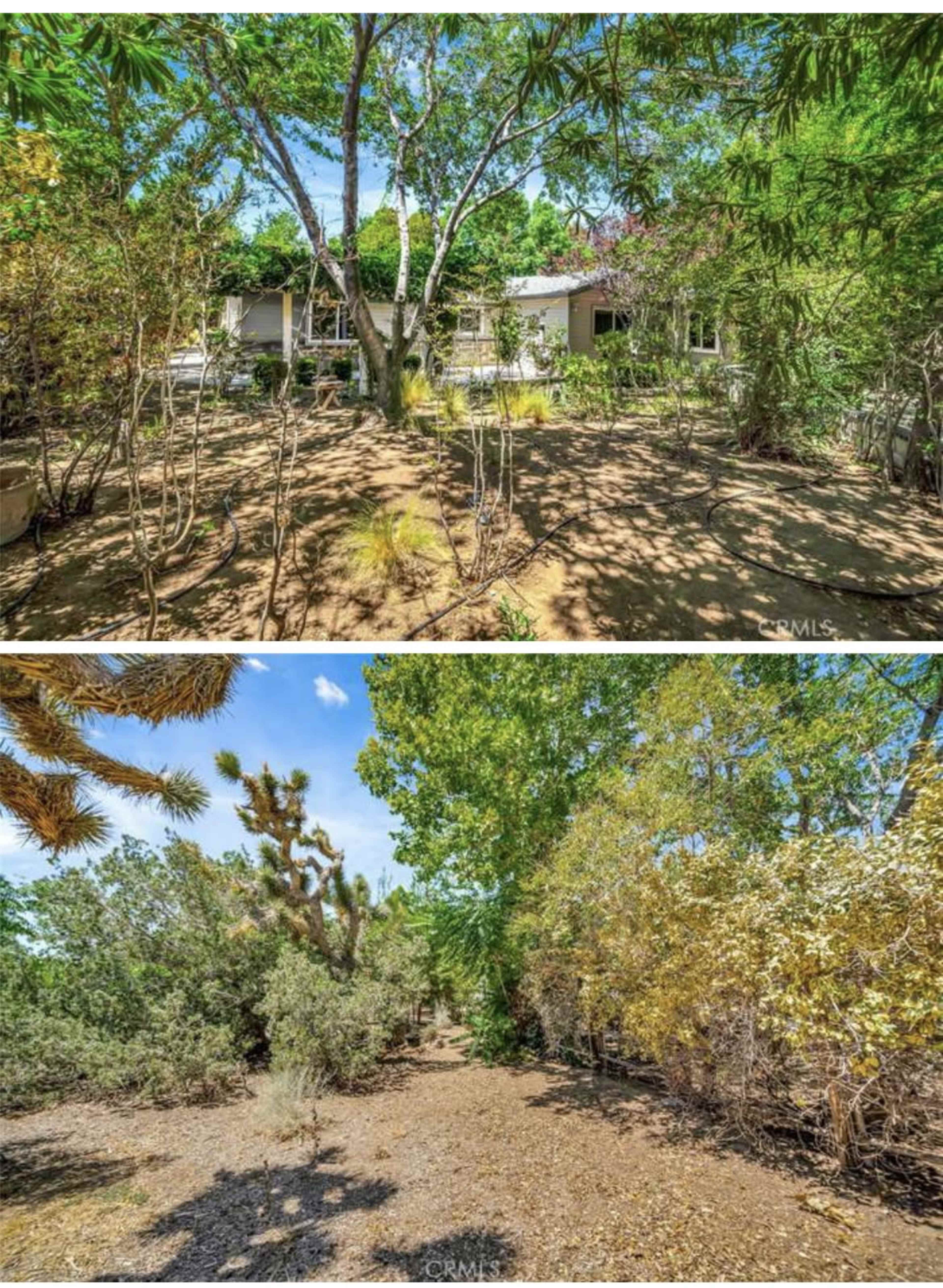 Secret Garden in the Heart of Palmdale Image in , Palmdale, CA