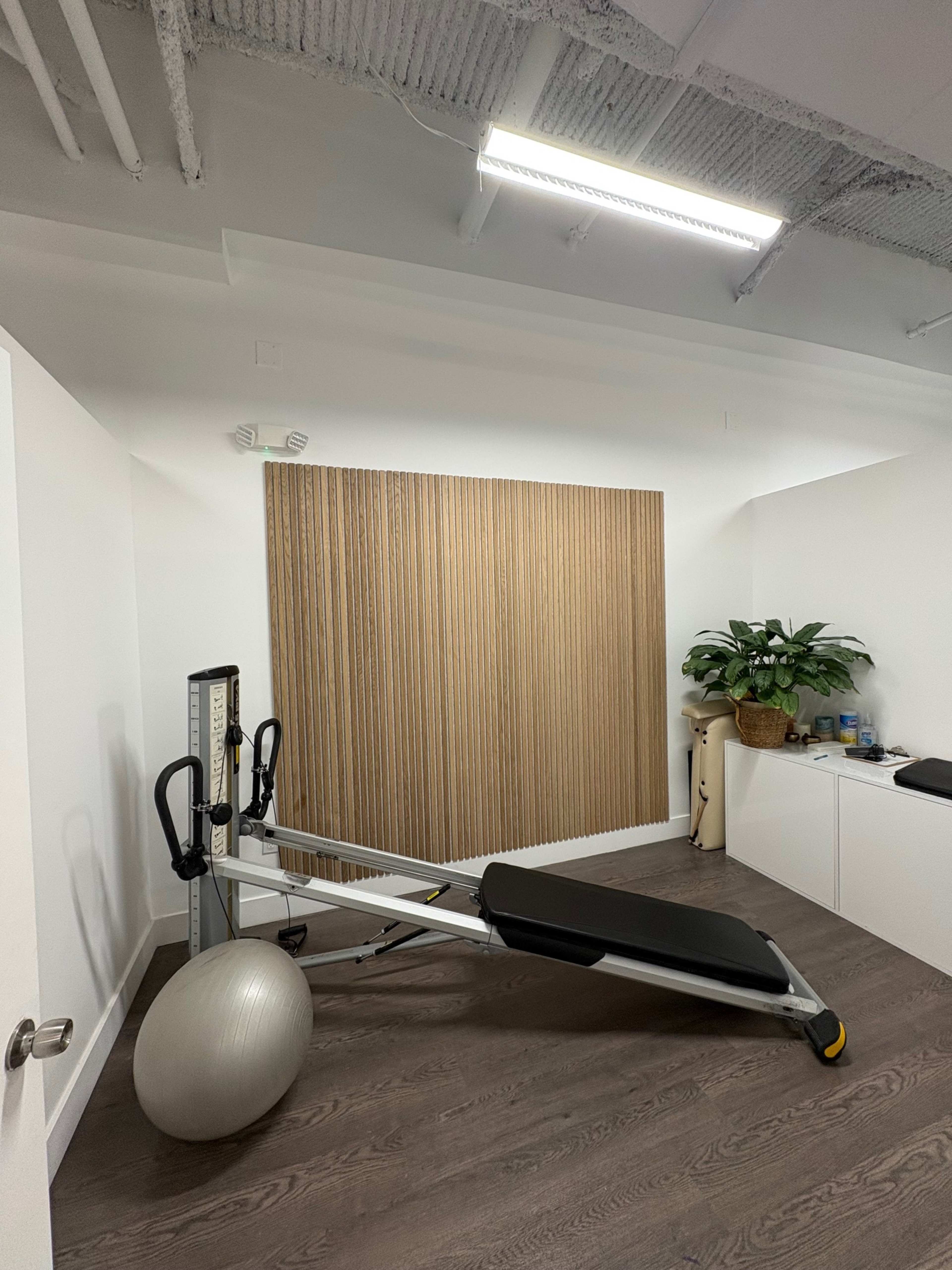 The image shows a minimalist fitness room featuring a reformer machine, a stability ball, and a wooden slat wall with a potted plant in the corner.