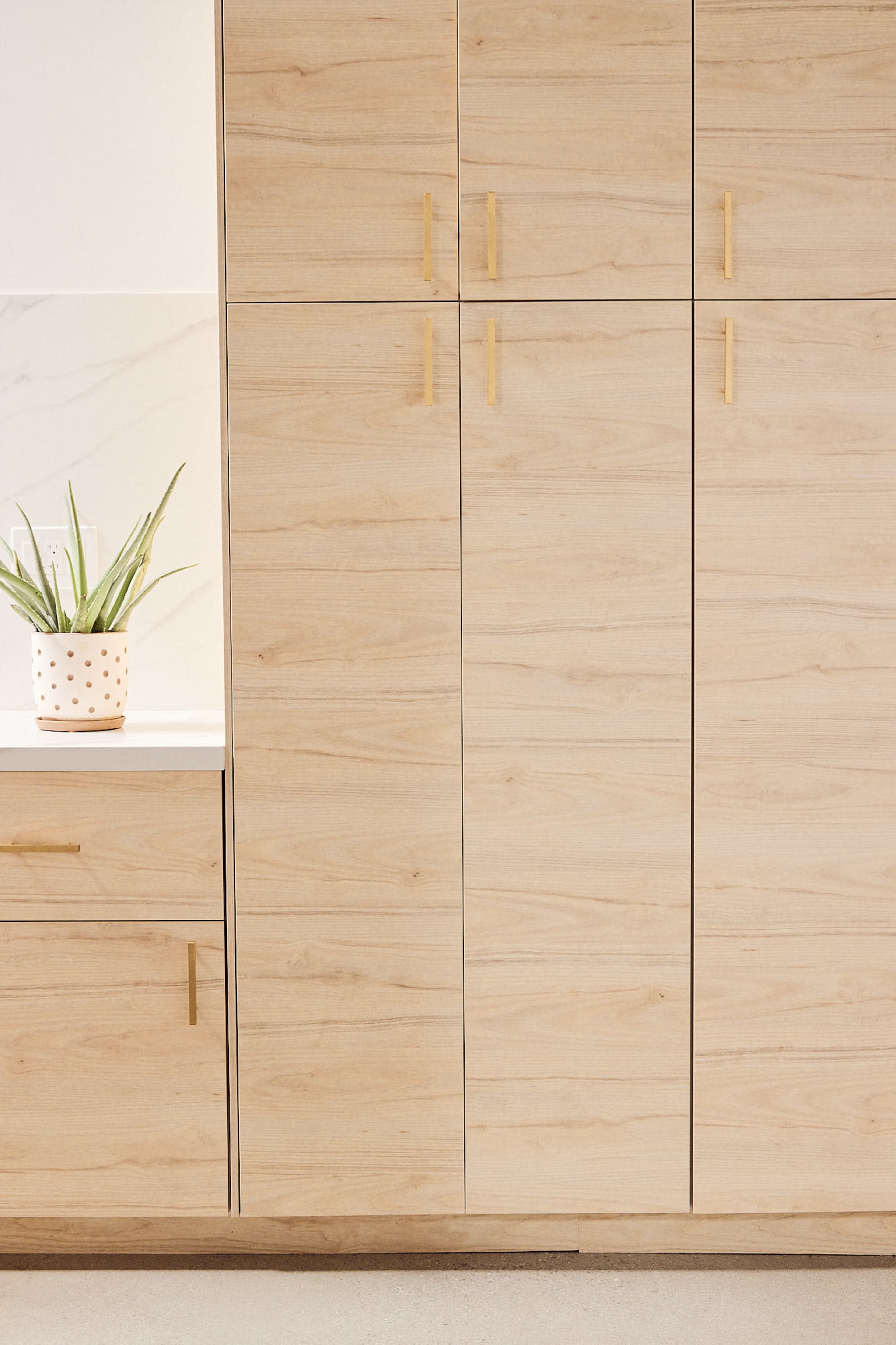 A wooden kitchen cabinet with gold handles and a potted plant on a countertop.