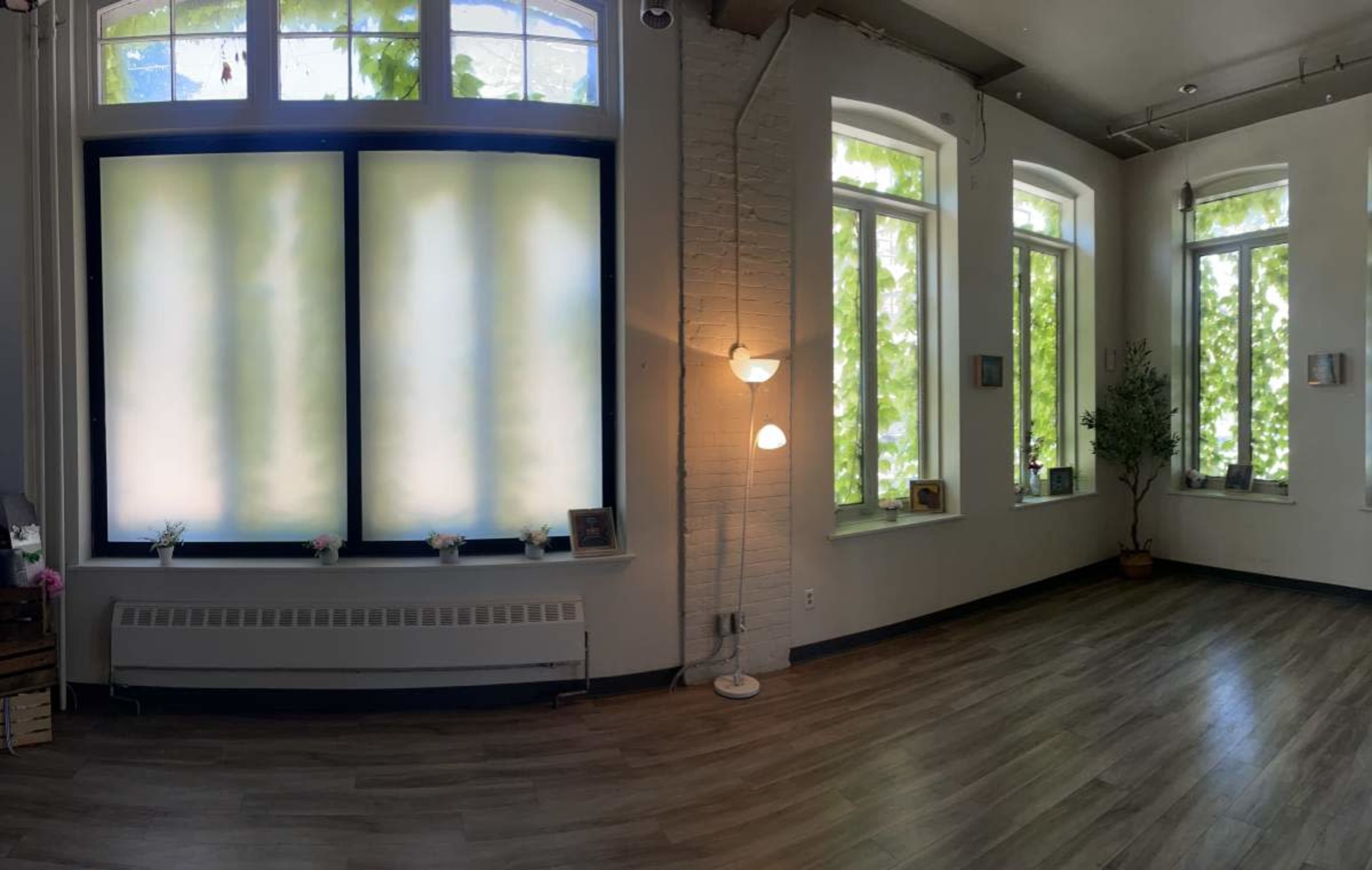 A well-lit room with large windows covered by translucent shades, offering a view of green foliage outside.