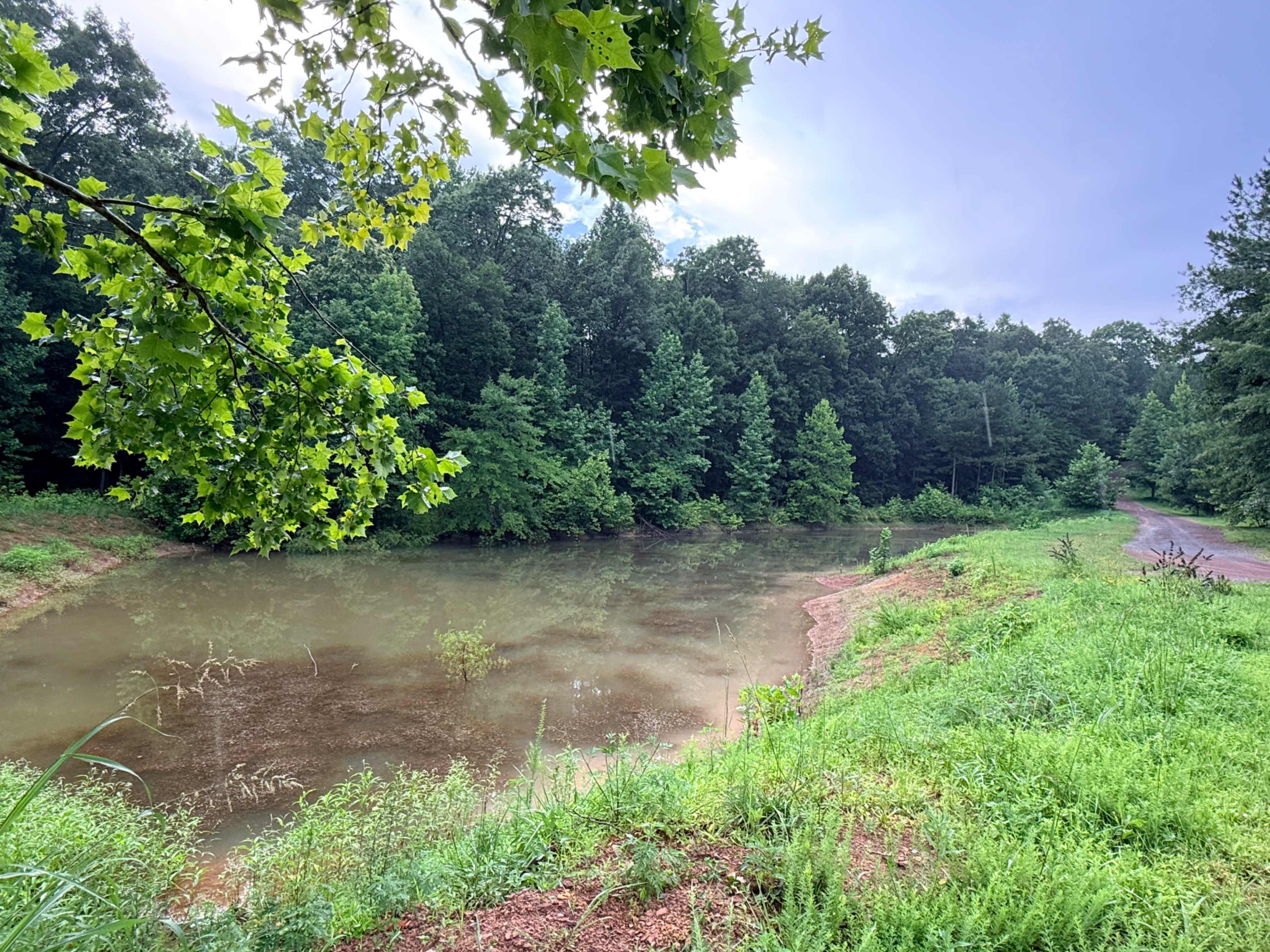 A still pond is surrounded by lush vegetation and trees, with a dirt path curving alongside its edge.