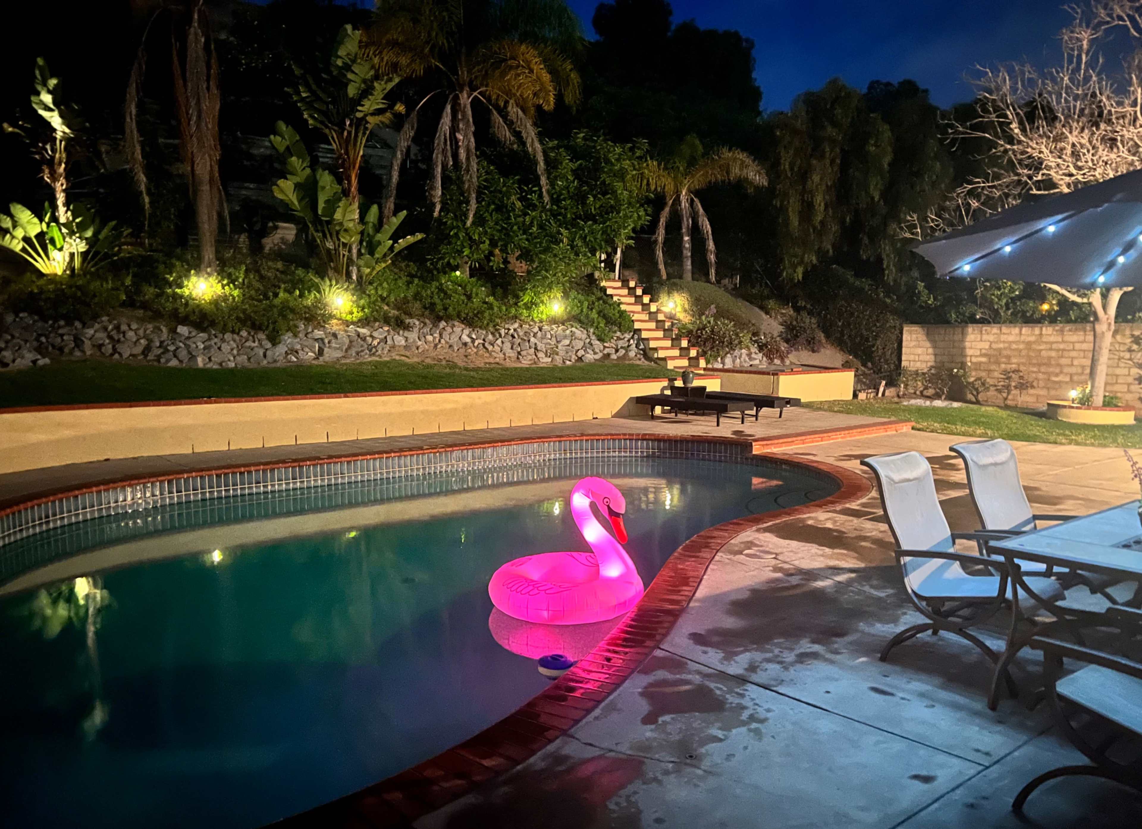 The scene shows a pool area at night, featuring a pink inflatable flamingo floating in the water, surrounded by tropical plants and illuminated by outdoor lighting.