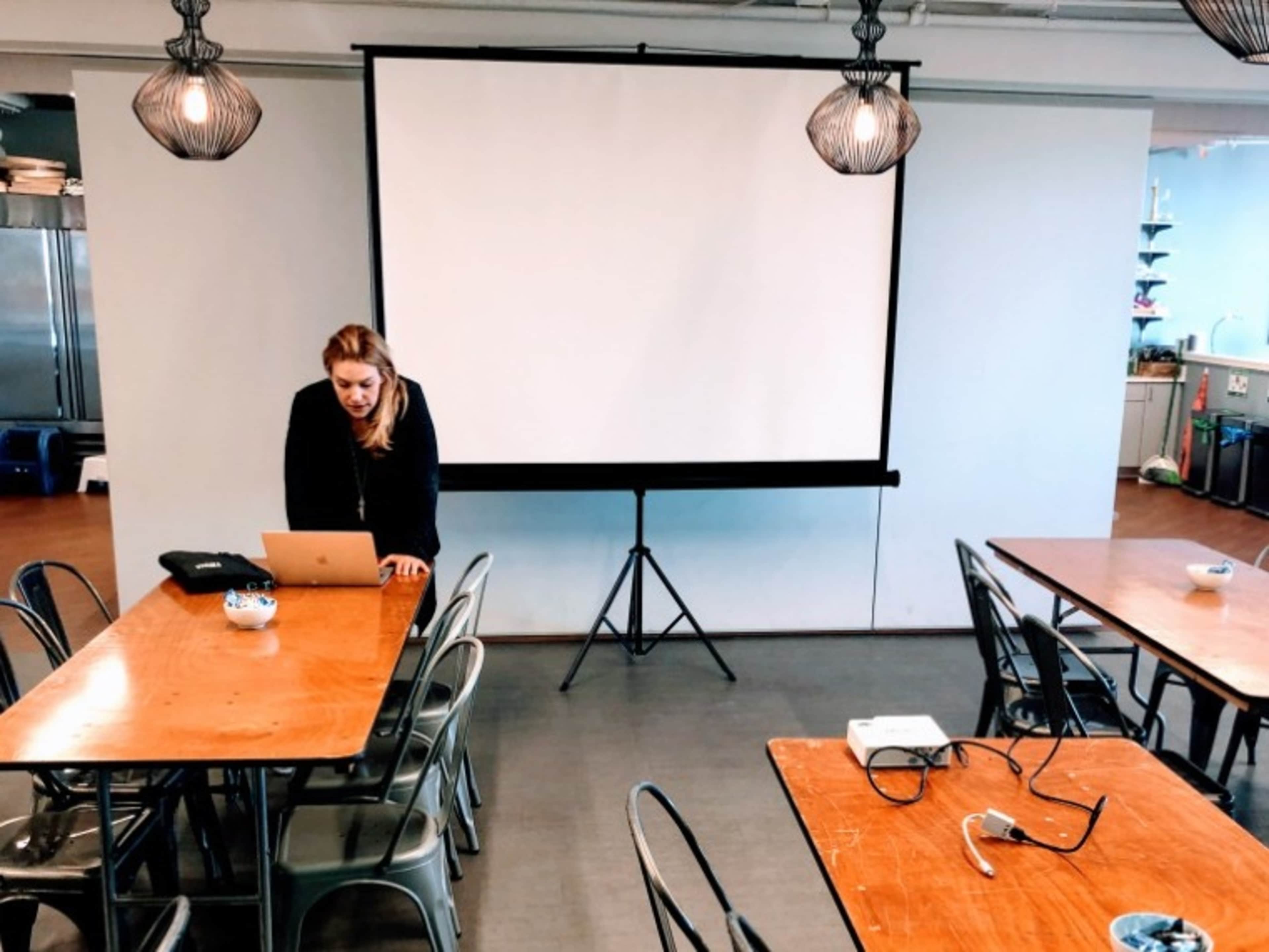 Movable Screen & Projector