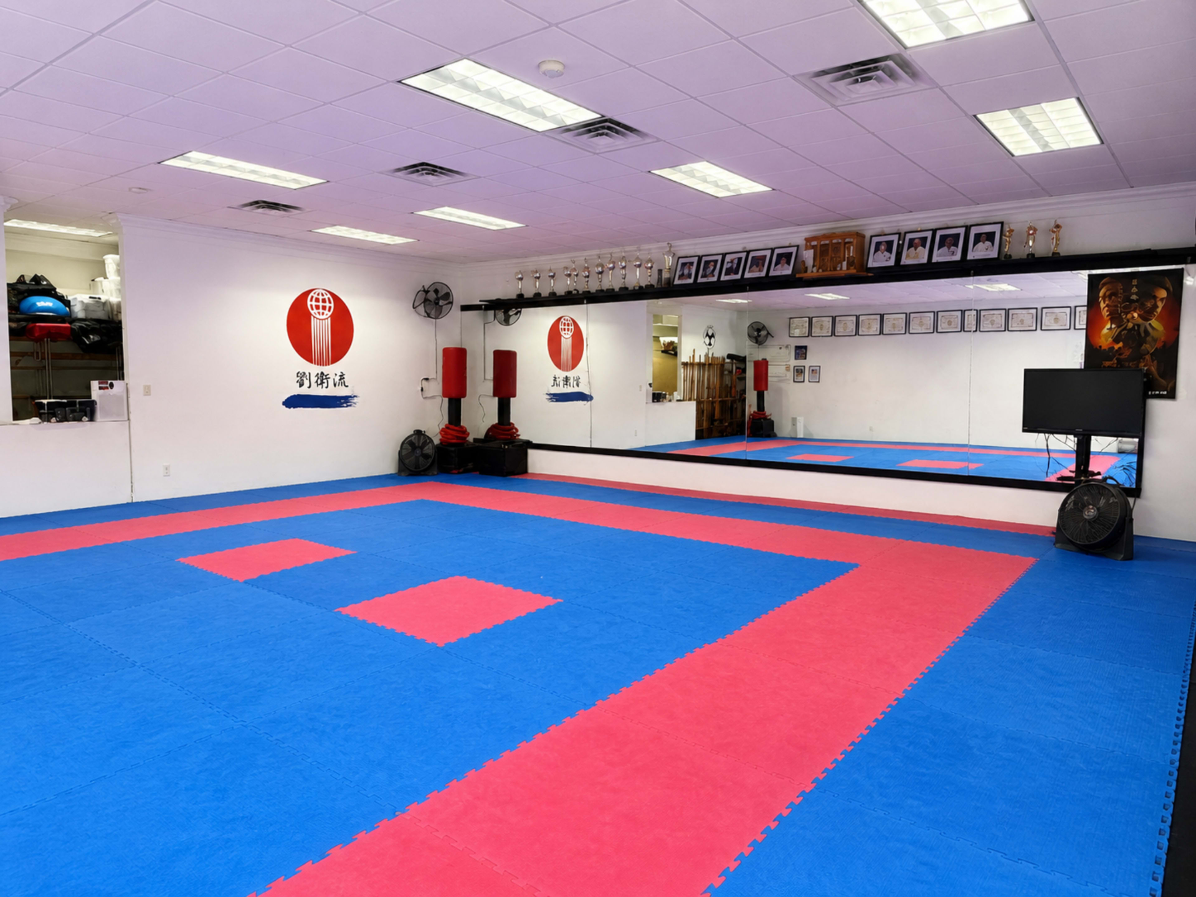 The image shows a martial arts training room with blue and red mats, mirrors on the walls, and various training equipment neatly arranged.