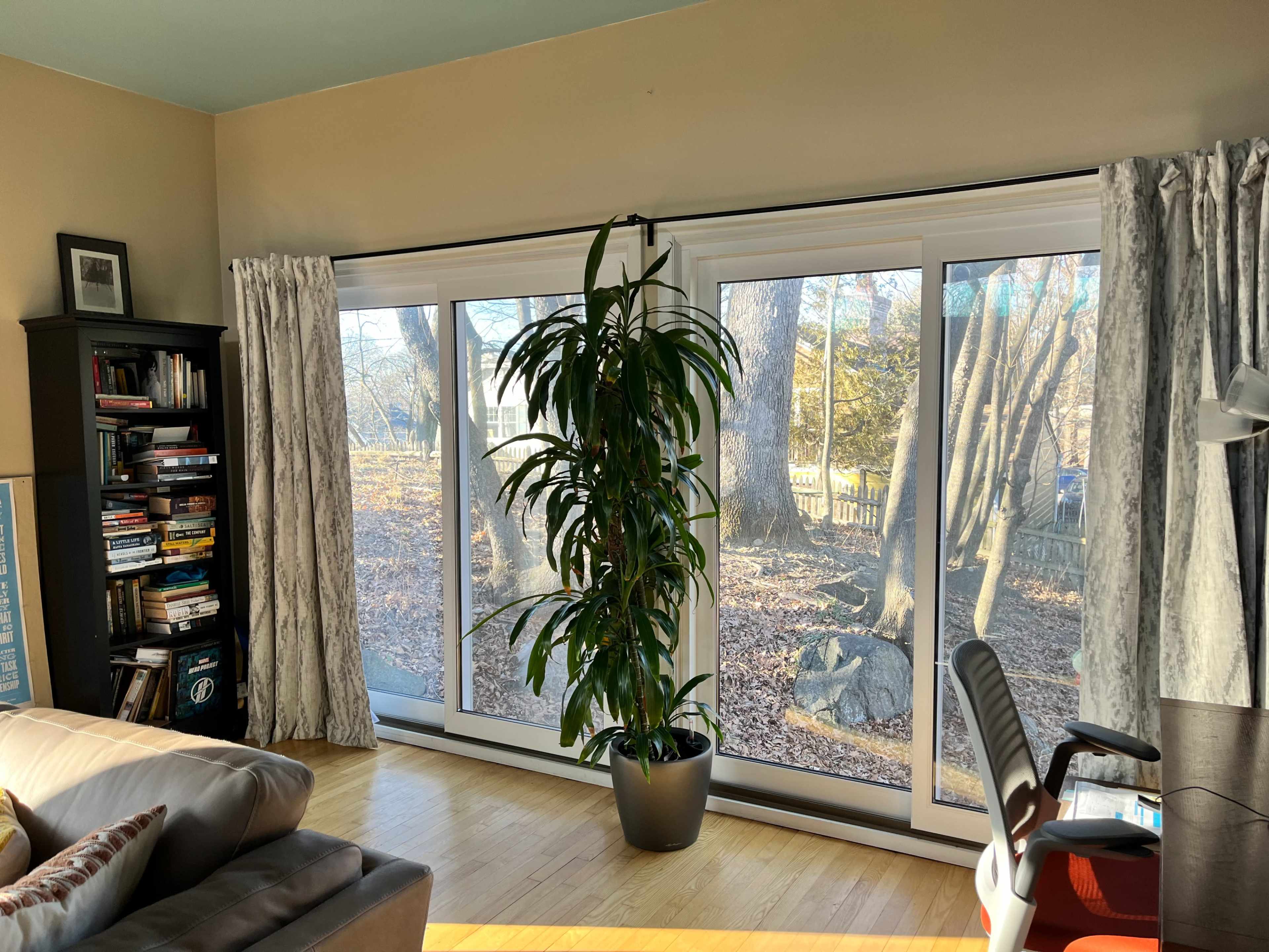 A corner of a room features large windows with sheer curtains, a potted plant, and a bookshelf filled with books.