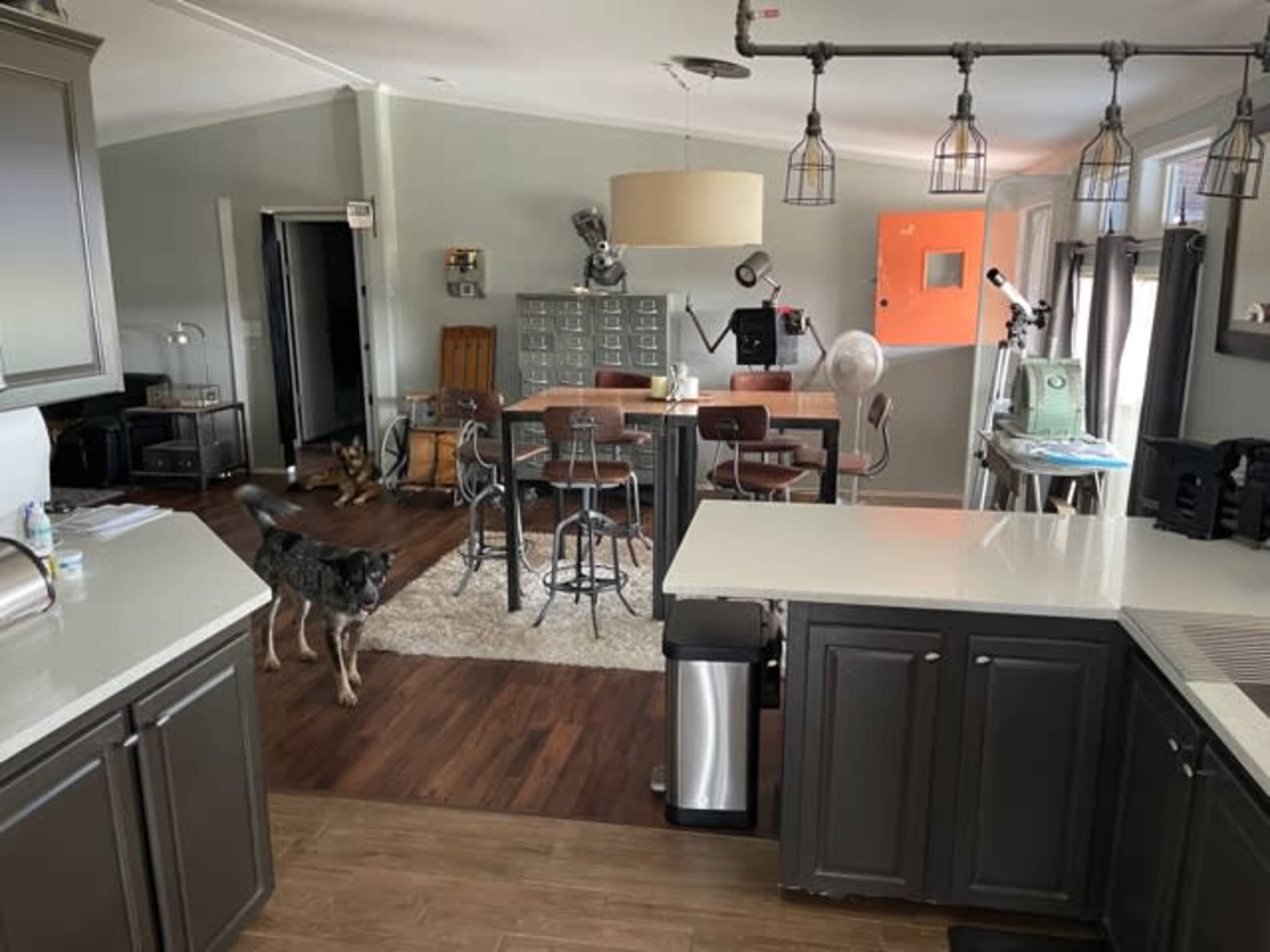 A spacious kitchen and dining area features modern appliances, bar stools, and a dog on a rug.