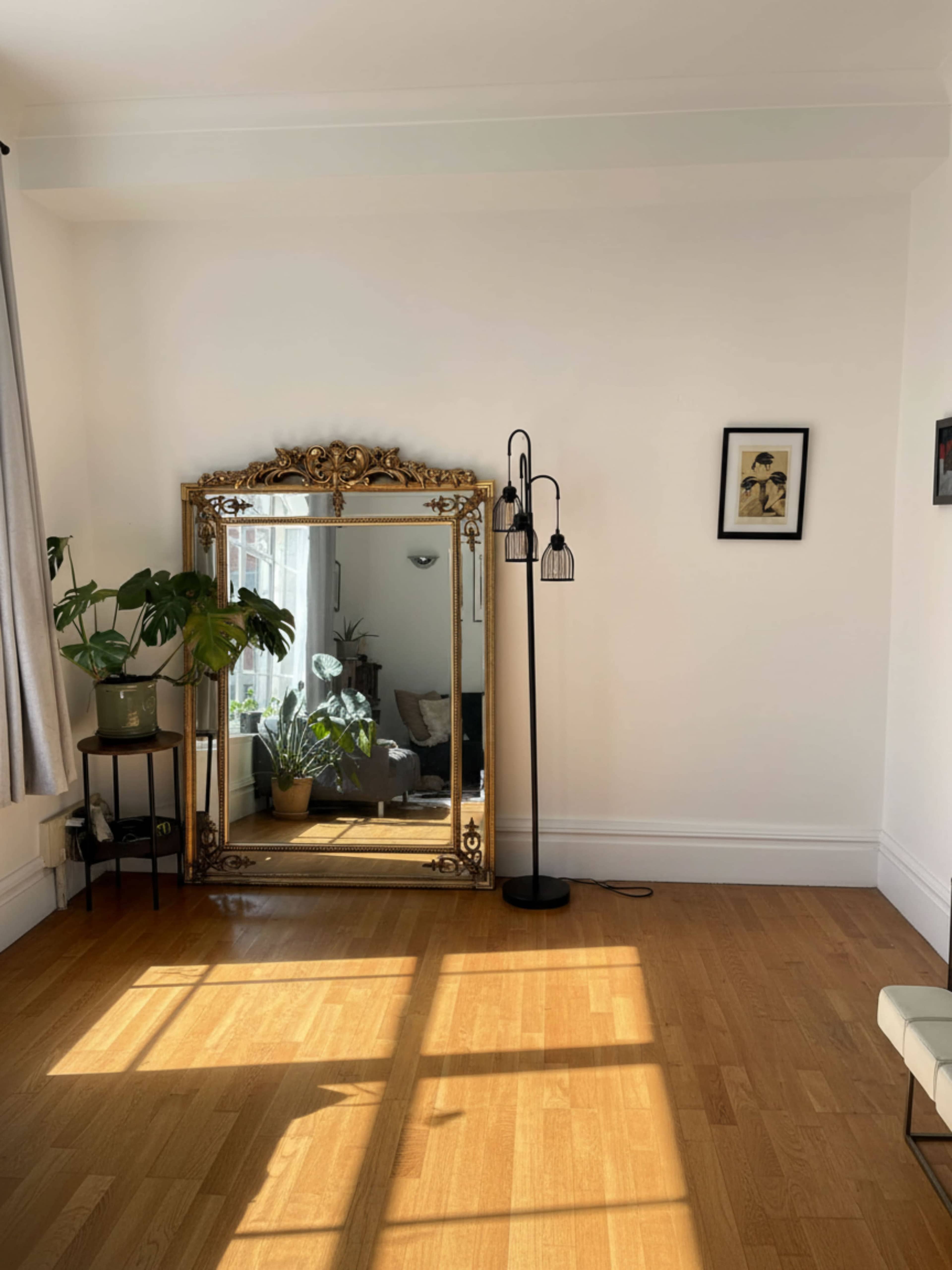 A large ornate mirror reflects plants near a black floor lamp in a well-lit room.