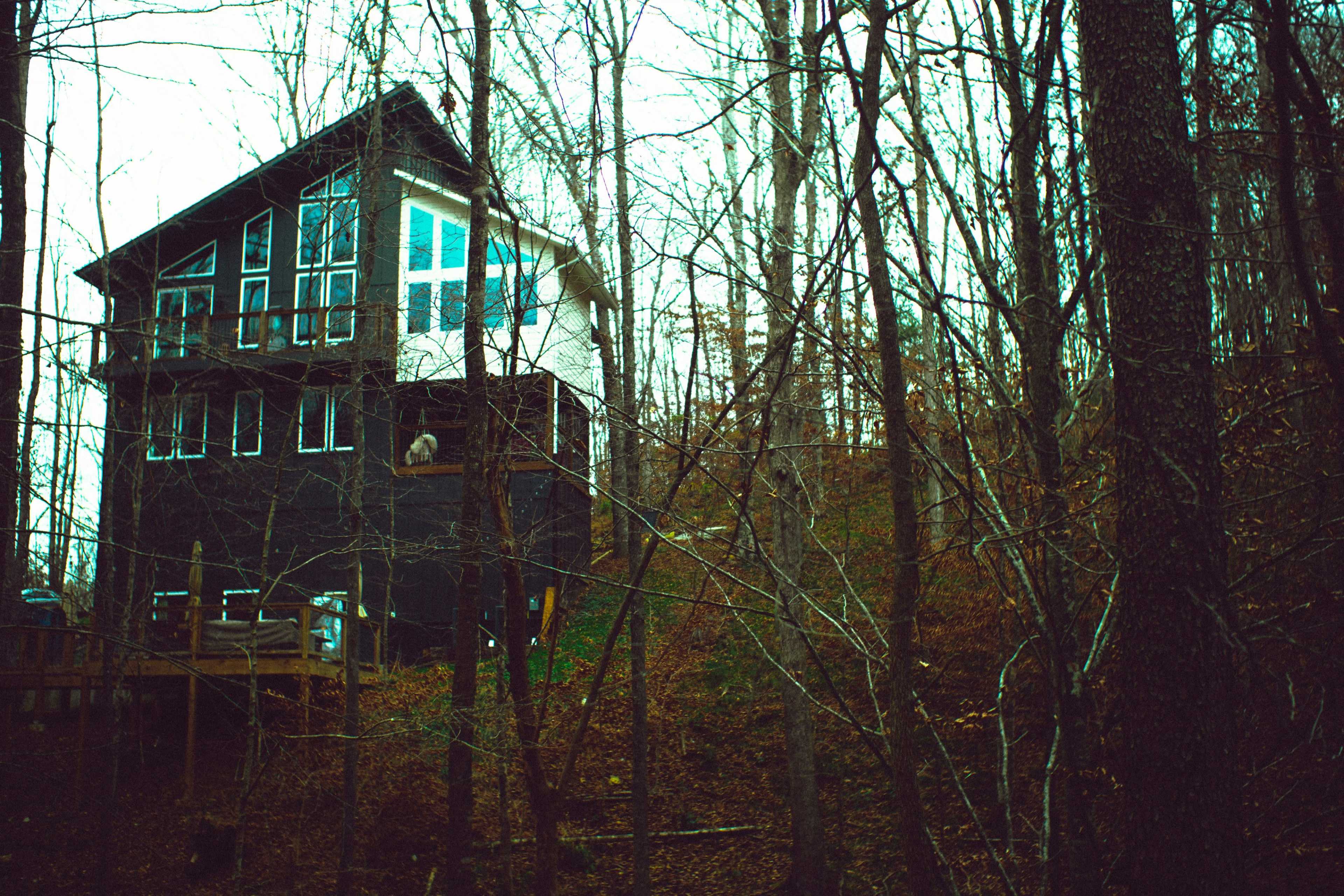 A modern house with large windows is situated on a hillside surrounded by bare trees.
