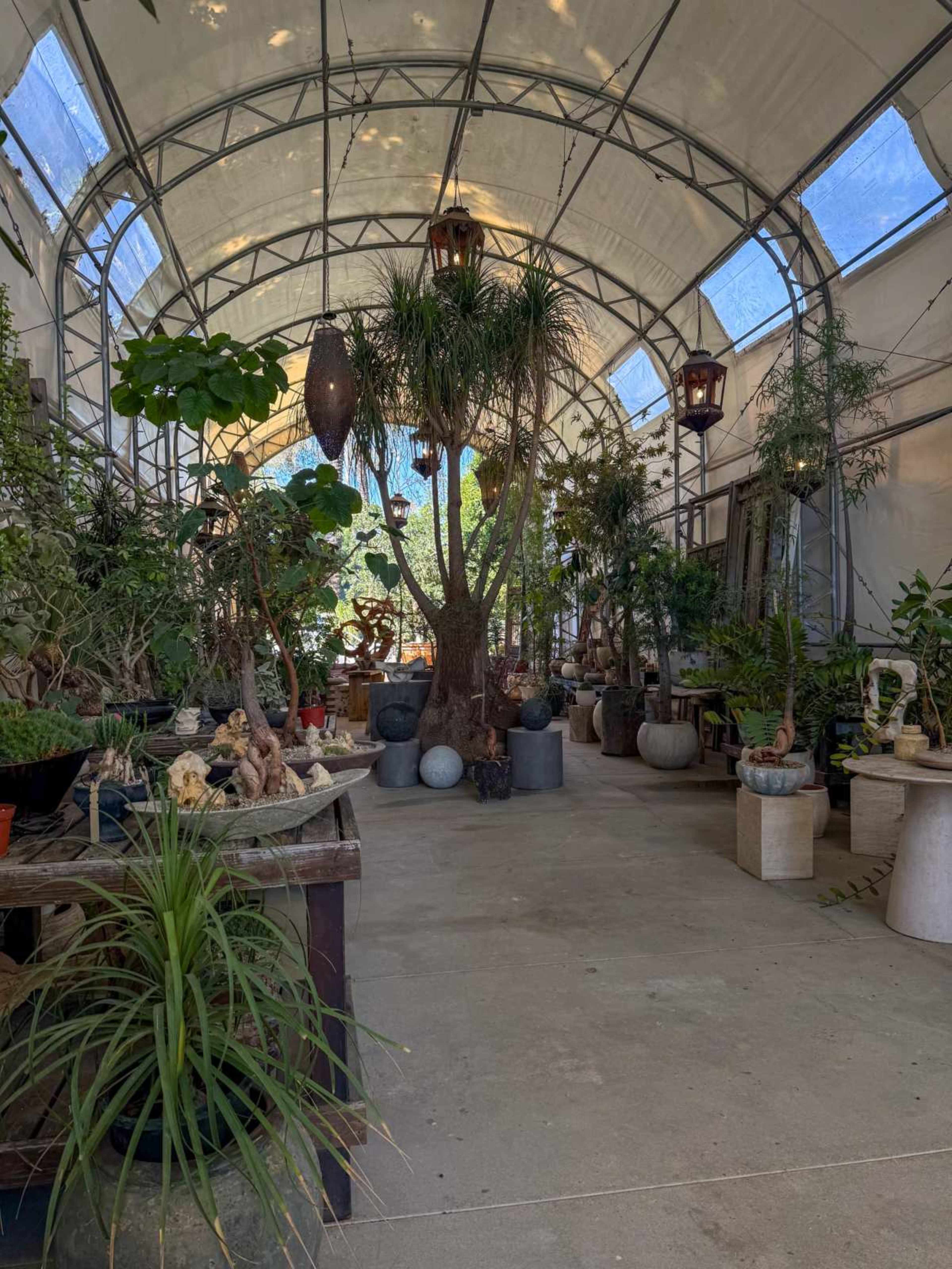 Plant-Filled Greenhouse with Outdoor Gathering Area Image in East Irvine, Irvine, CA