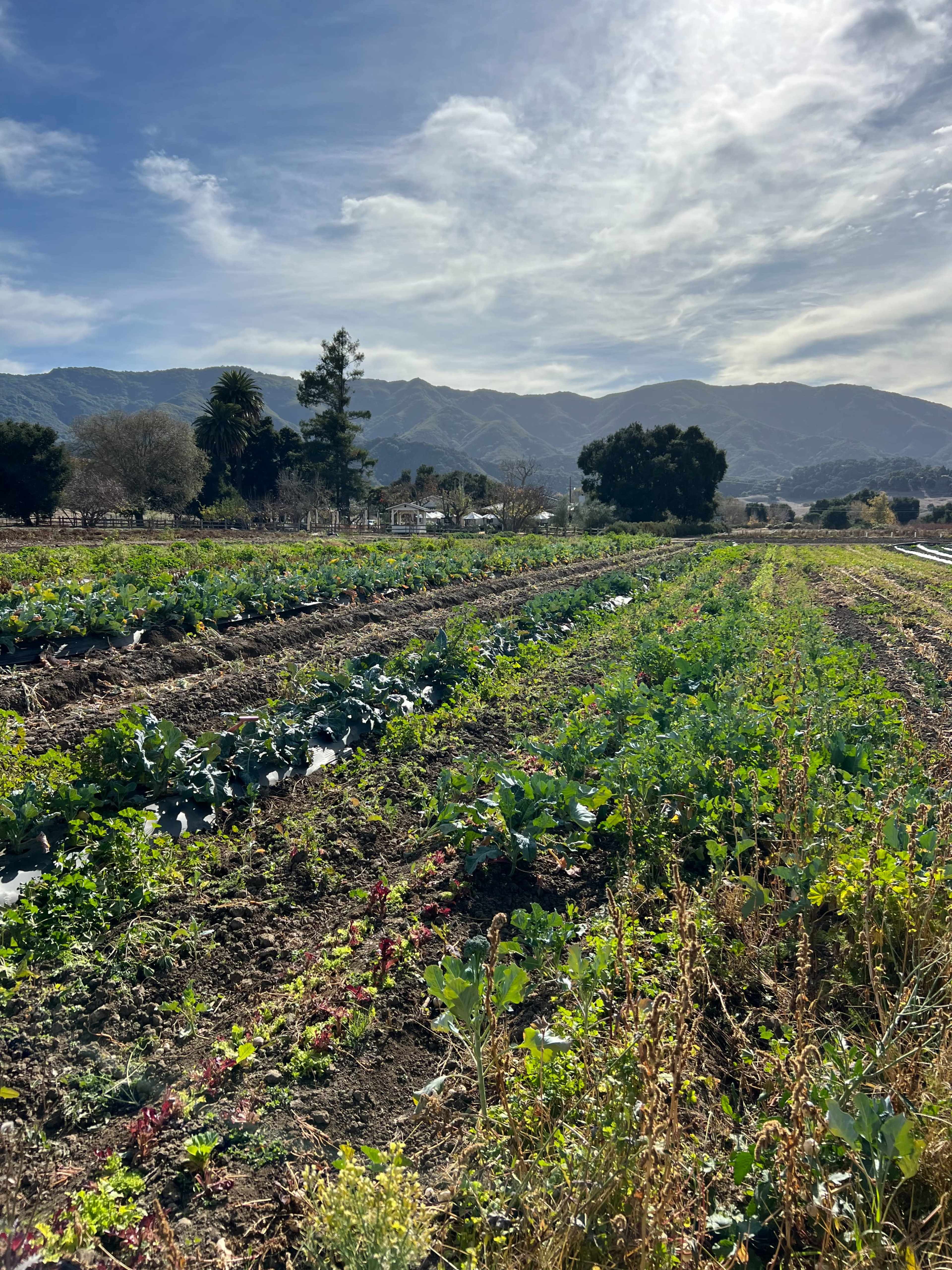 600 acre Ranch with classic 1900s style barns, houses, lake, vineyard, etc. Image in , Goleta, CA
