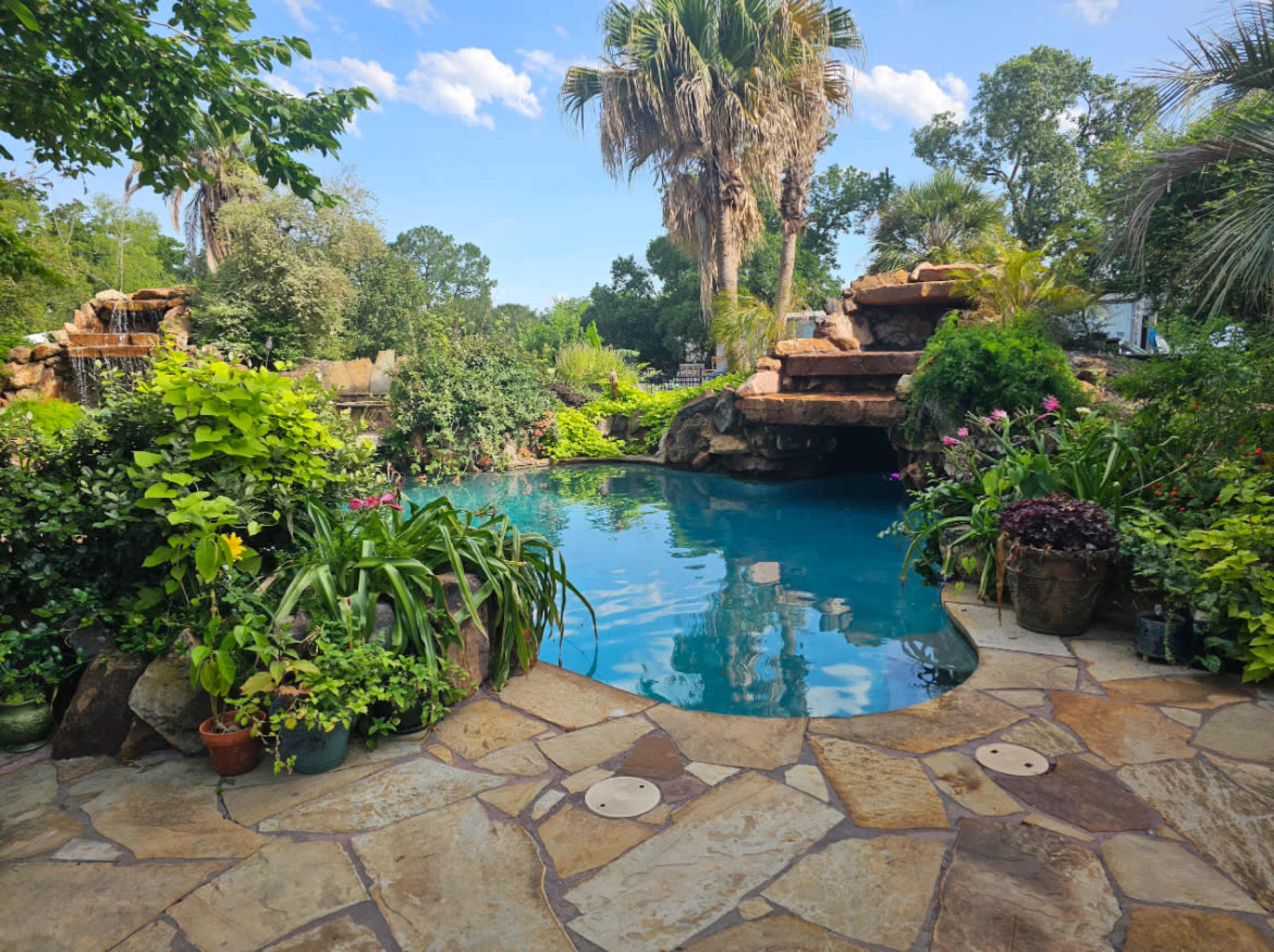 A lush, landscaped pool area surrounded by various plants and a rock formation, with clear blue water reflecting the sky.