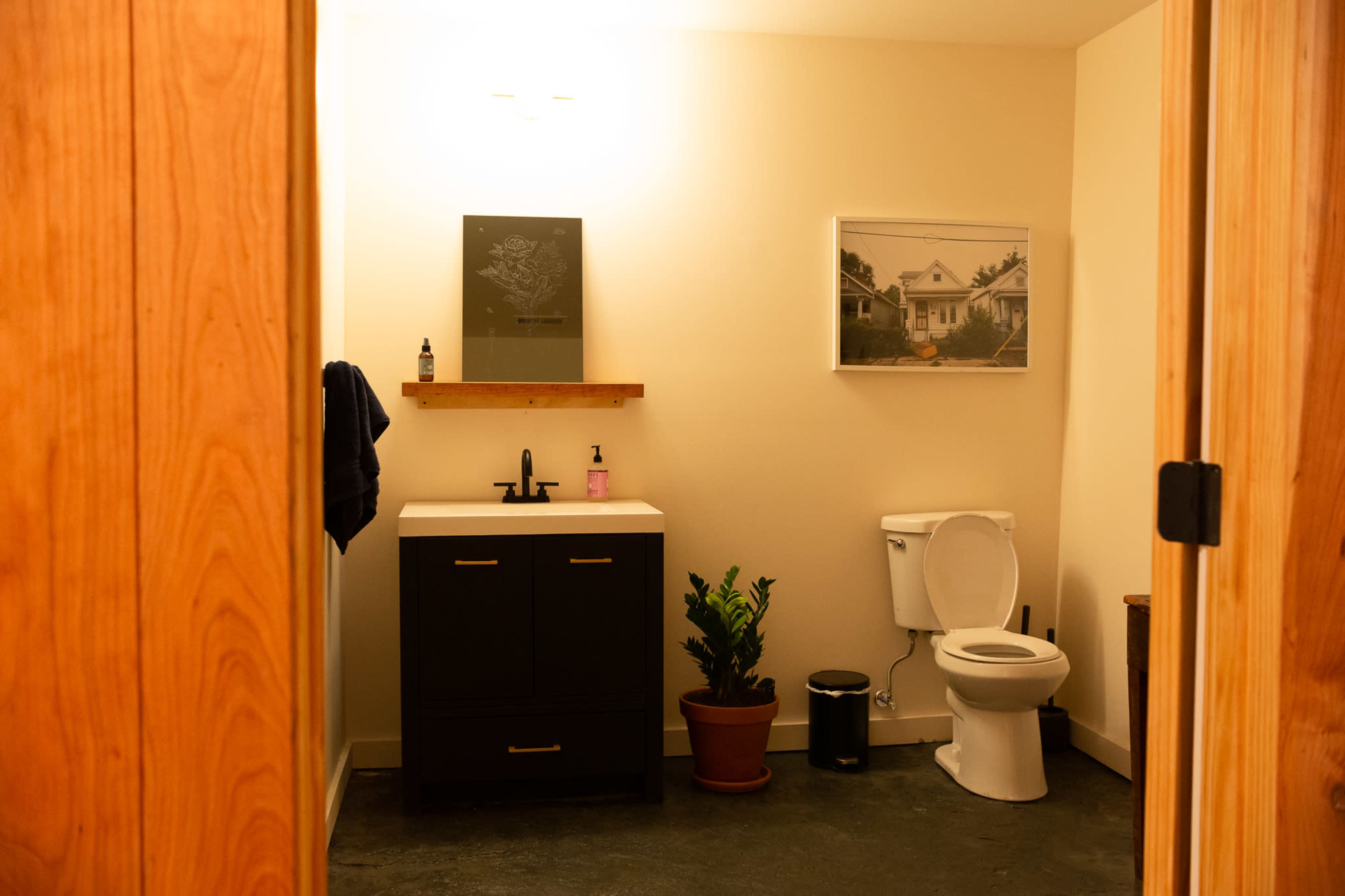 A bathroom with a white sink and dark cabinetry, a toilet, a plant in a pot, and a framed picture on the wall.