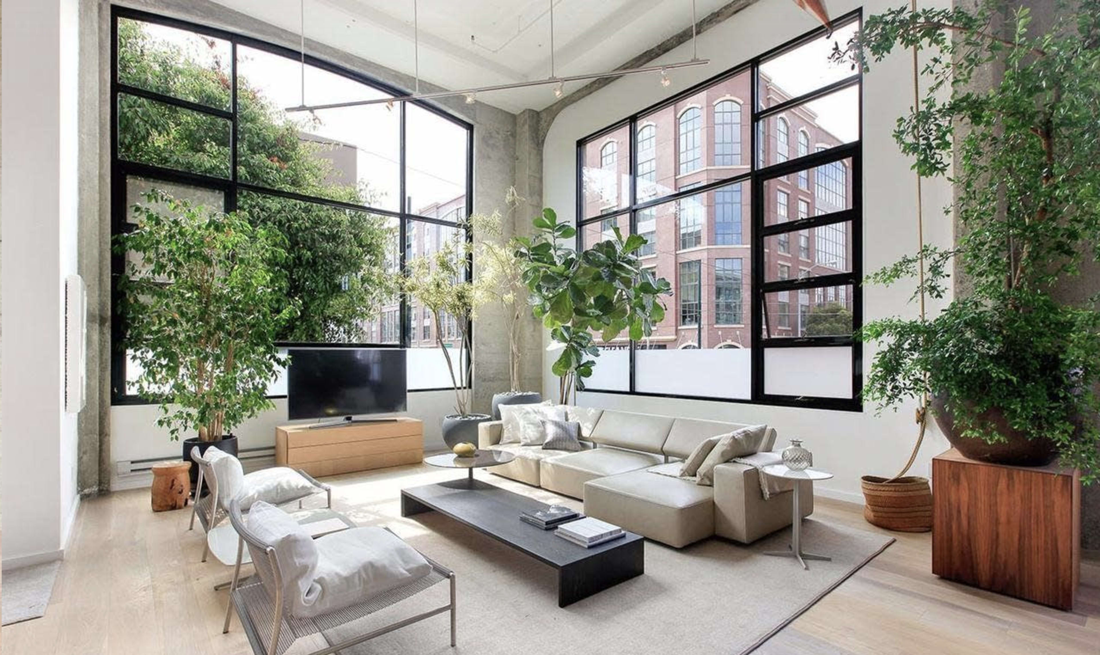 A modern living room with large windows, a sectional sofa, a coffee table, and several indoor plants.