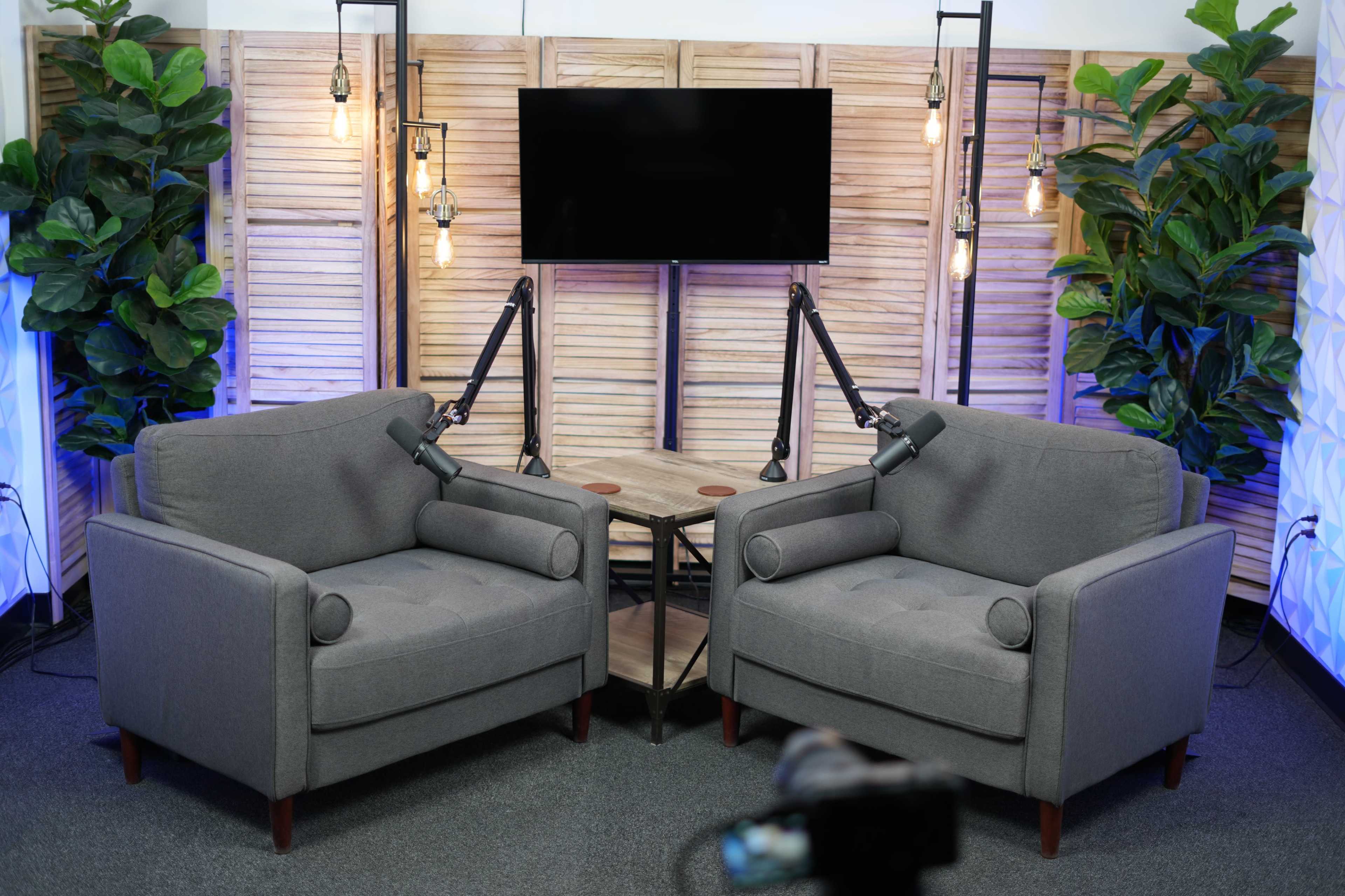 The image shows a cozy interview setting with two gray chairs positioned facing each other, a wooden table in between, and a television screen mounted on a wooden backdrop surrounded by plants and hanging lights.