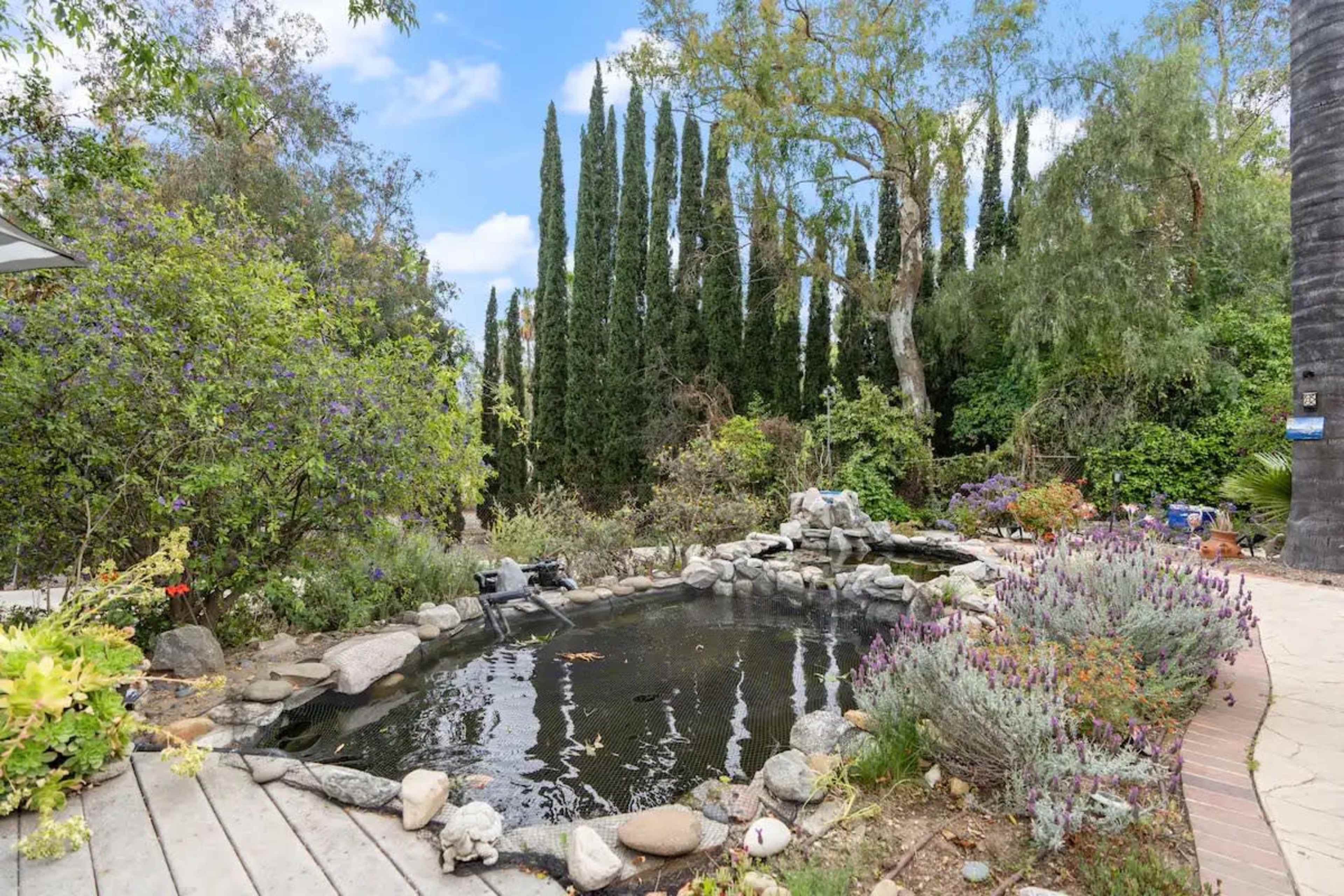 The image shows a landscaped garden featuring a pond surrounded by rocks and various plants, with tall trees in the background.