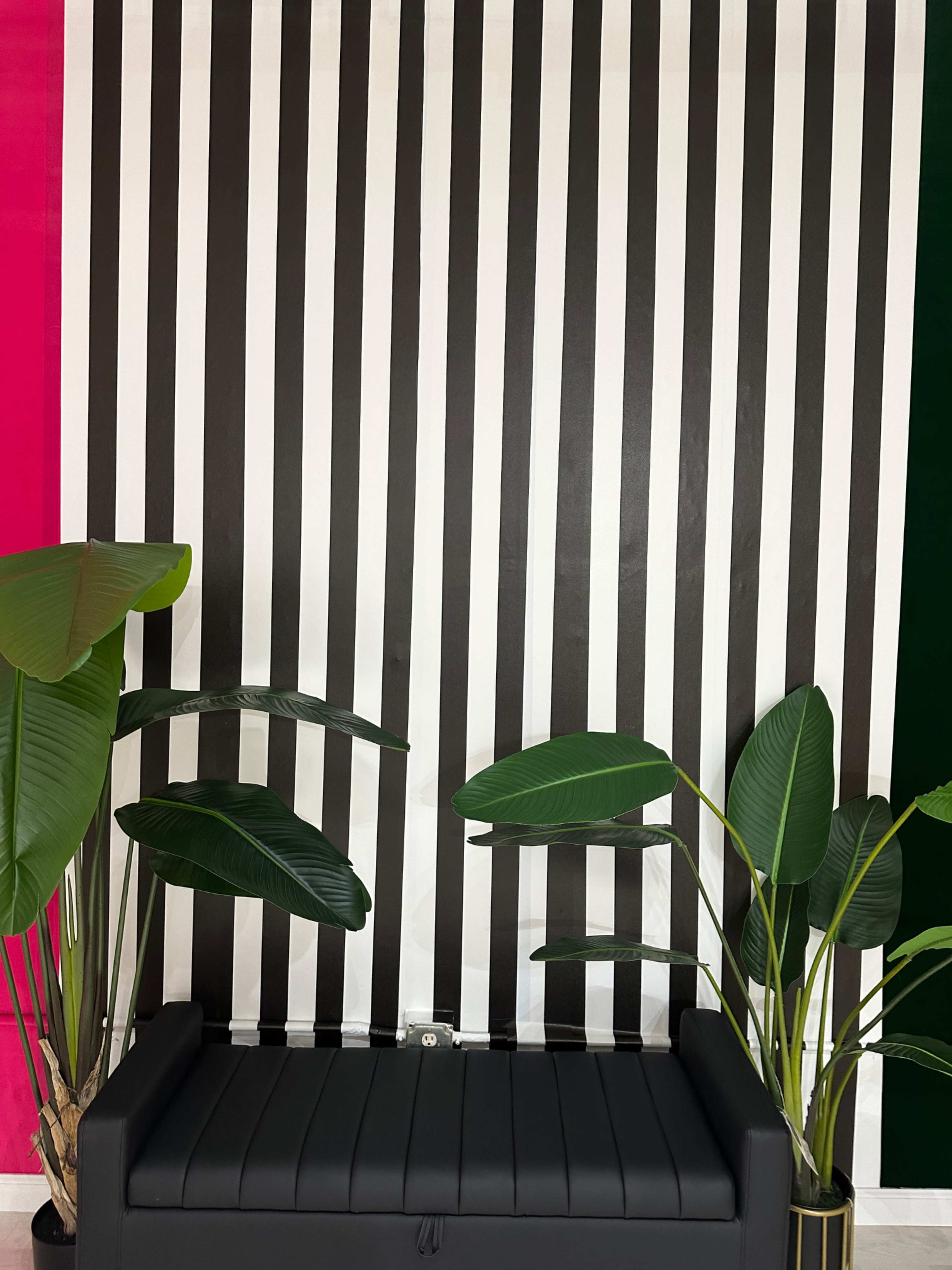 The image shows a black sofa placed in front of a vertical striped wall with alternating black and white stripes, flanked by large green plants.