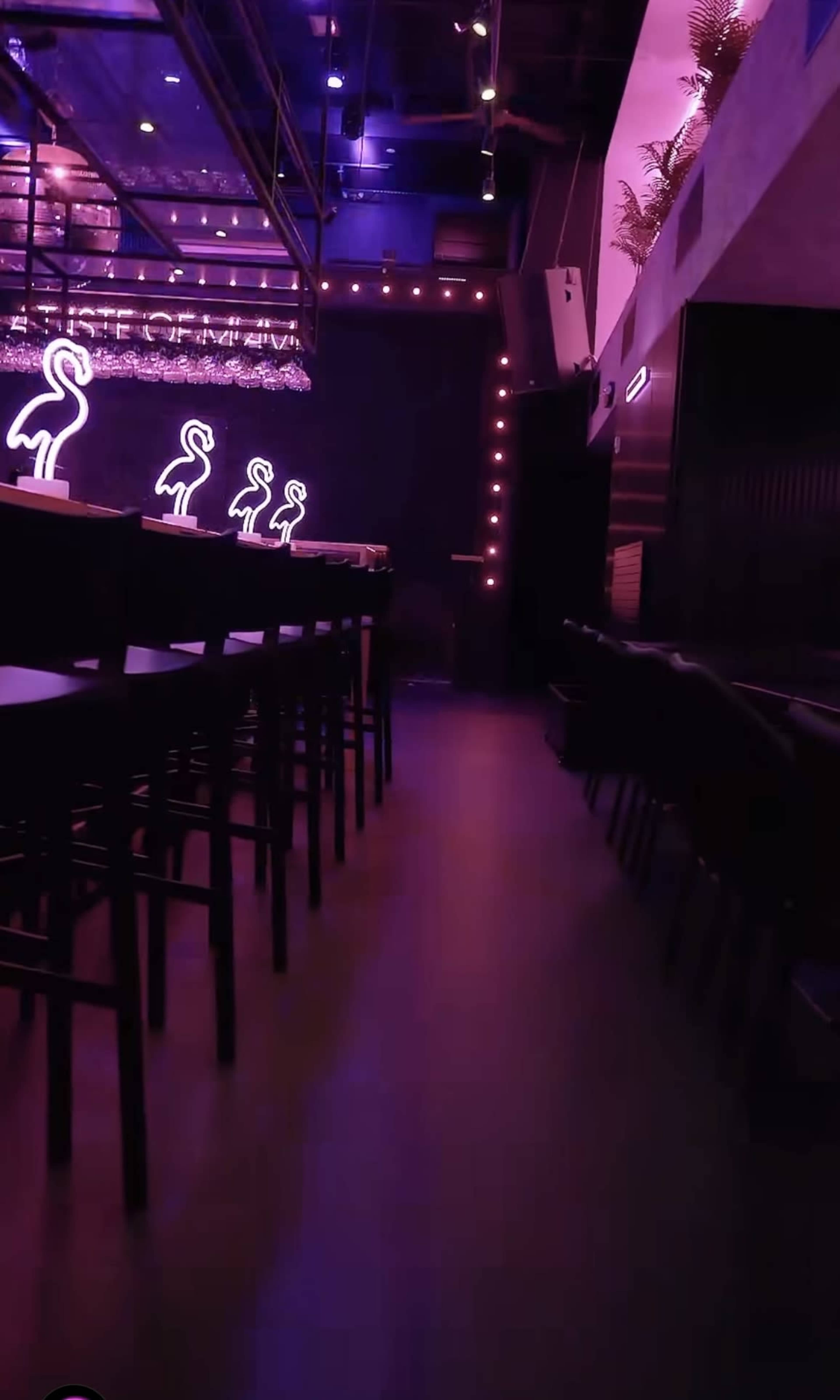 The image shows the interior of a dimly lit bar or nightclub with seating arranged along a long pathway, illuminated by pink neon lights.