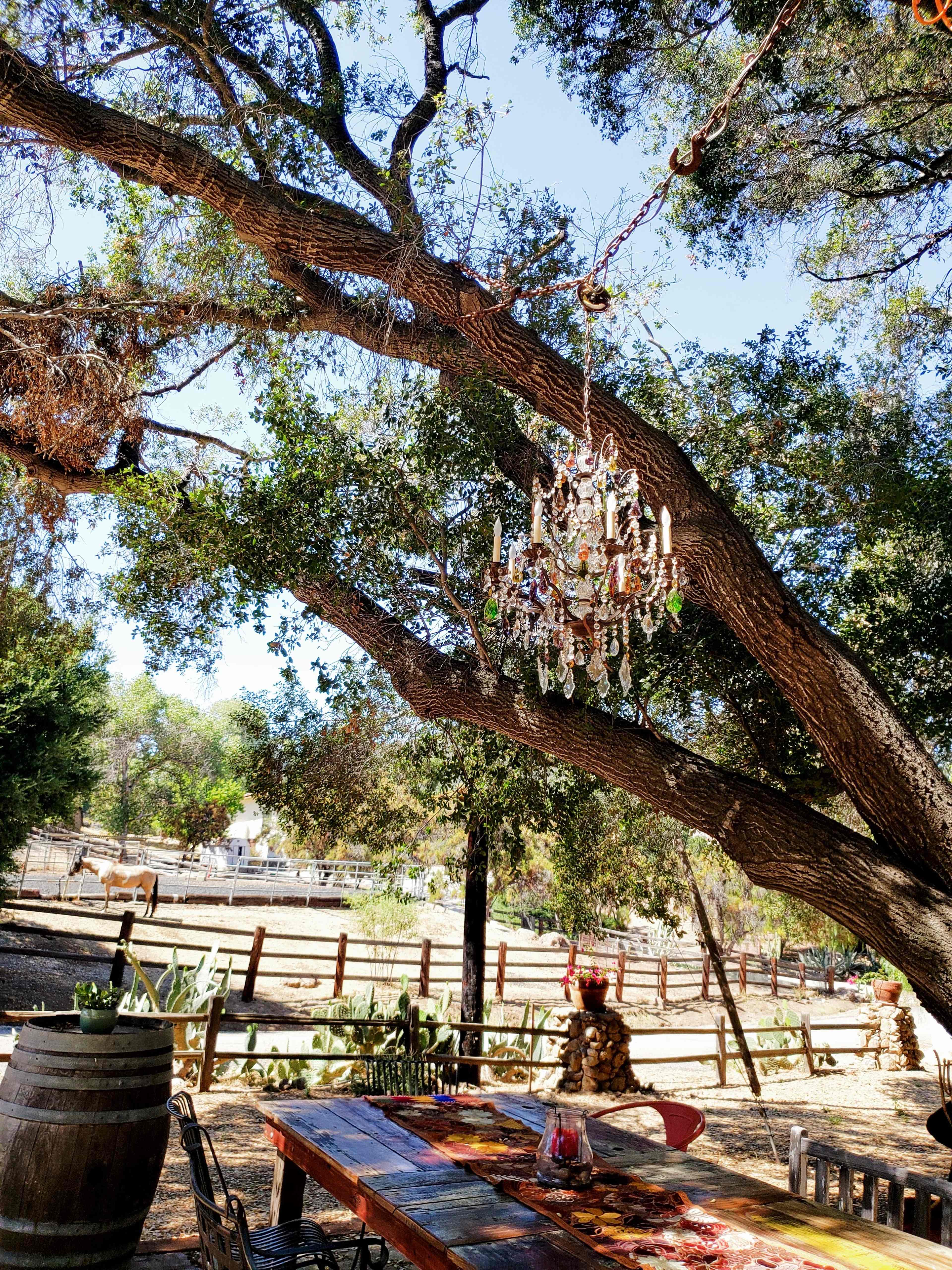 A chandelier hangs from a tree branch above a rustic outdoor dining table surrounded by a serene farm setting.