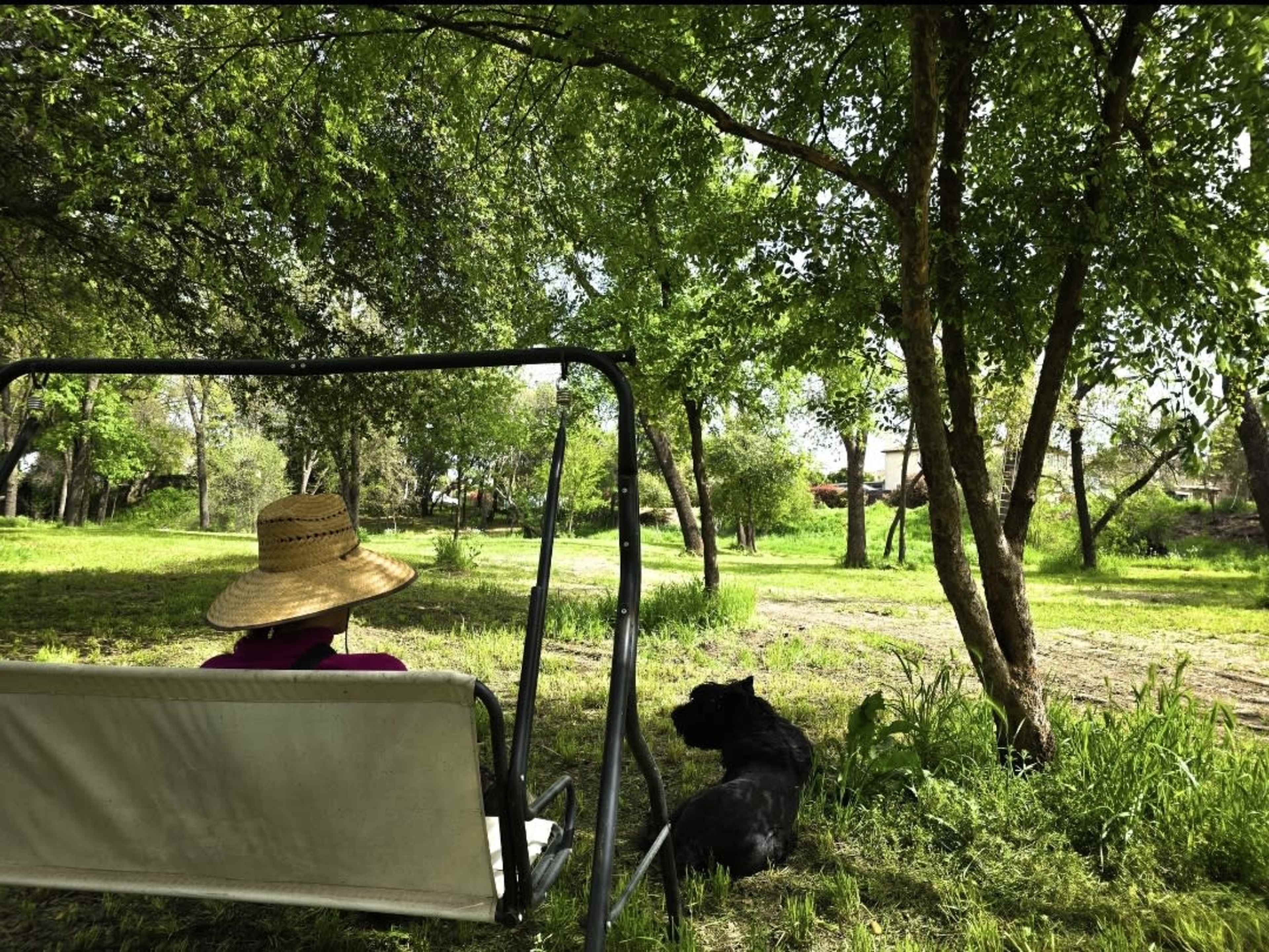 Private Forest in the middle of the city! Image in Citrus Heights, Citrus Heights, CA