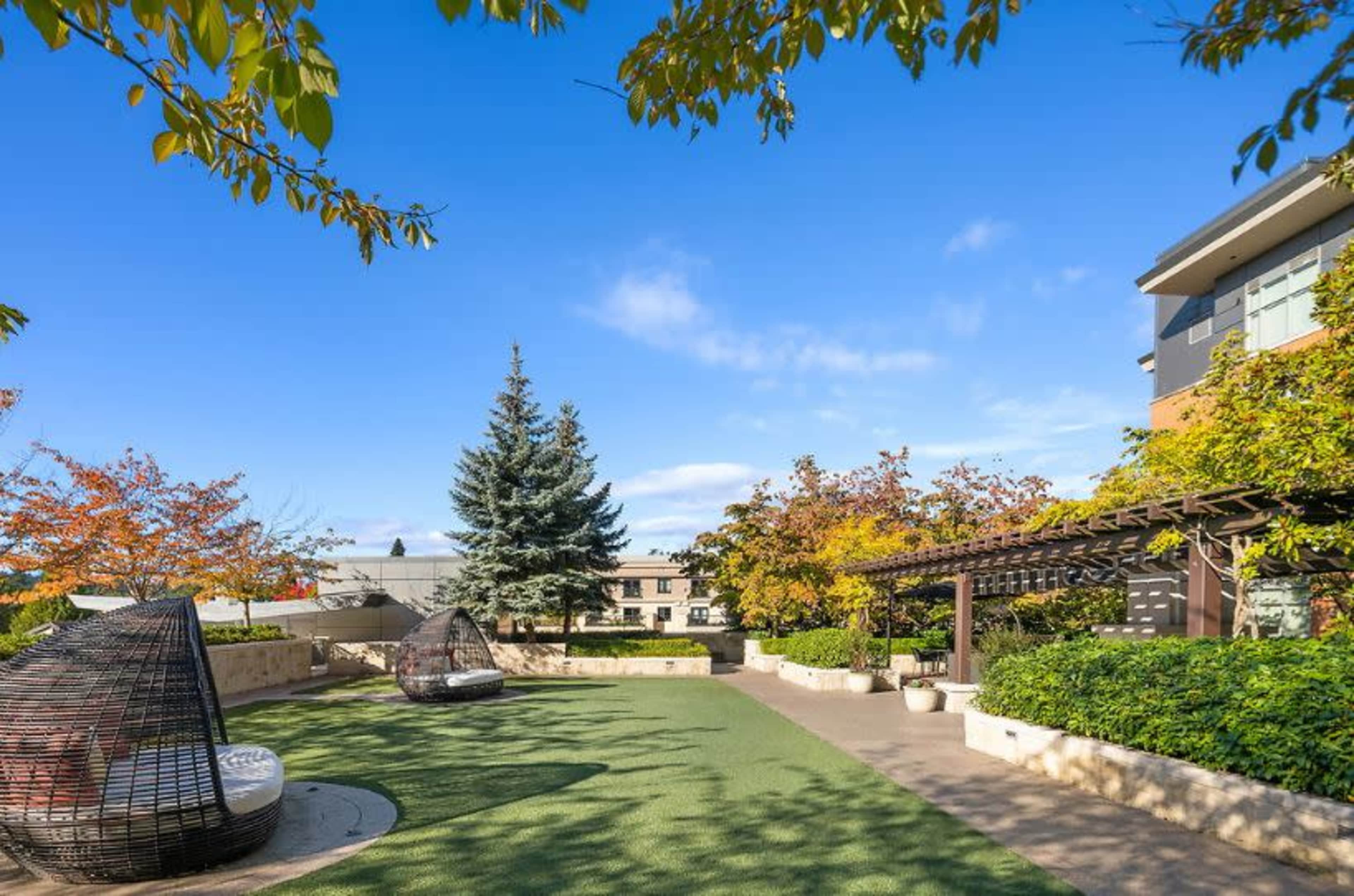 A landscaped outdoor area features decorative hanging chairs, greenery, and a pergola under a clear blue sky.