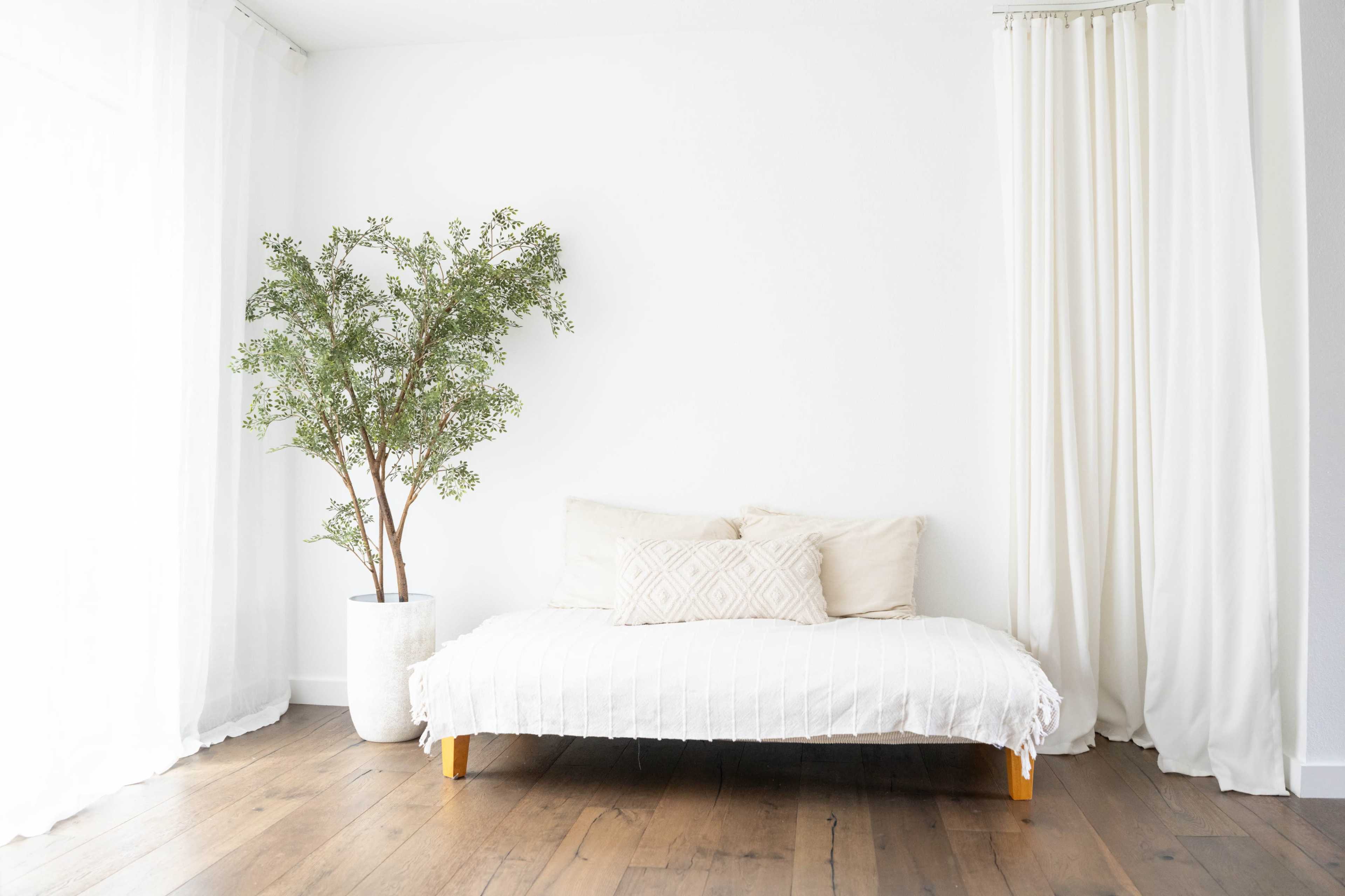 The image shows a minimalistic living space with a white couch, two light-colored pillows, and a potted plant beside a large window with sheer curtains.