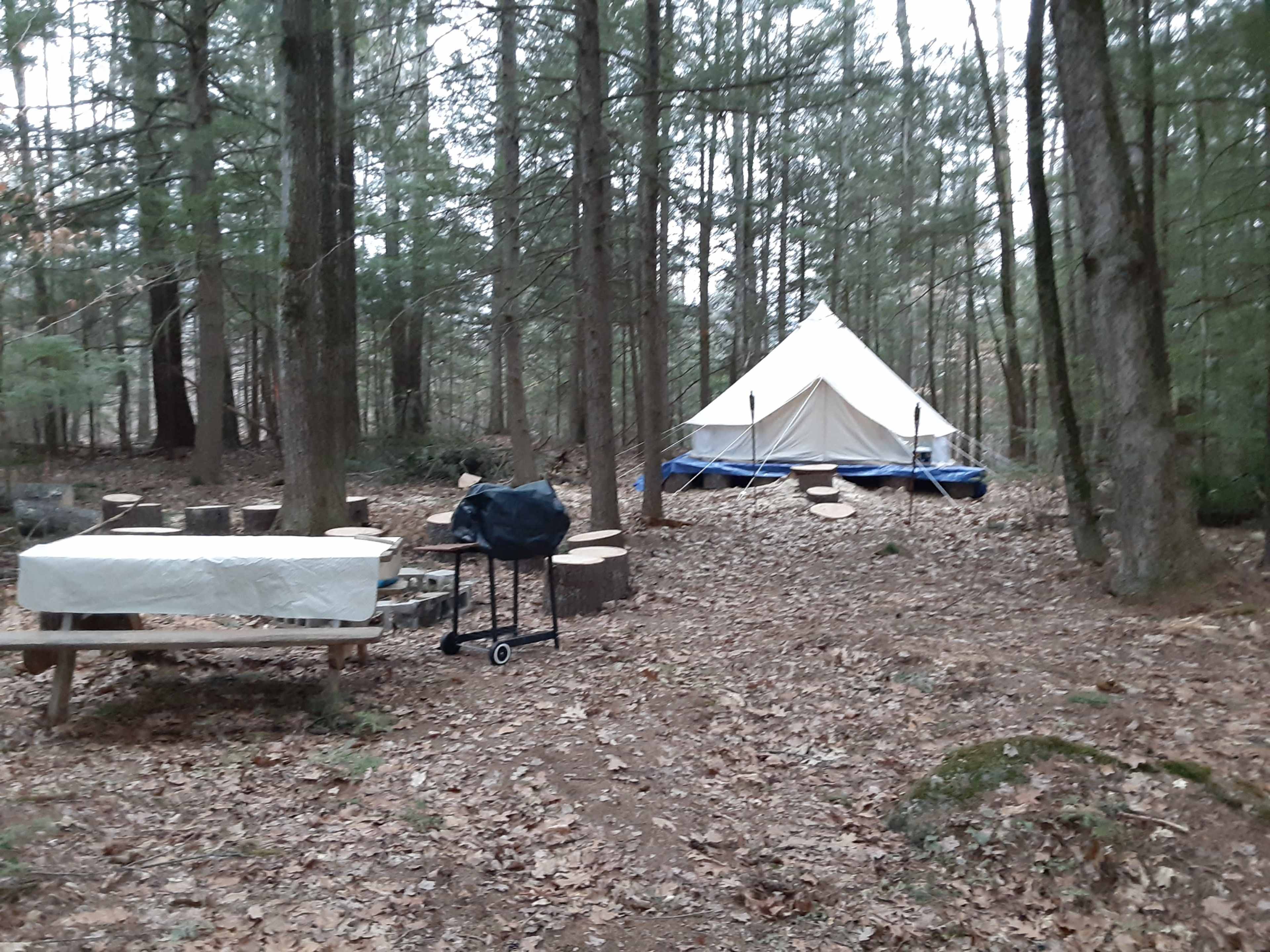 A tent is set up in a forest clearing surrounded by trees, with a picnic table and a grill nearby.