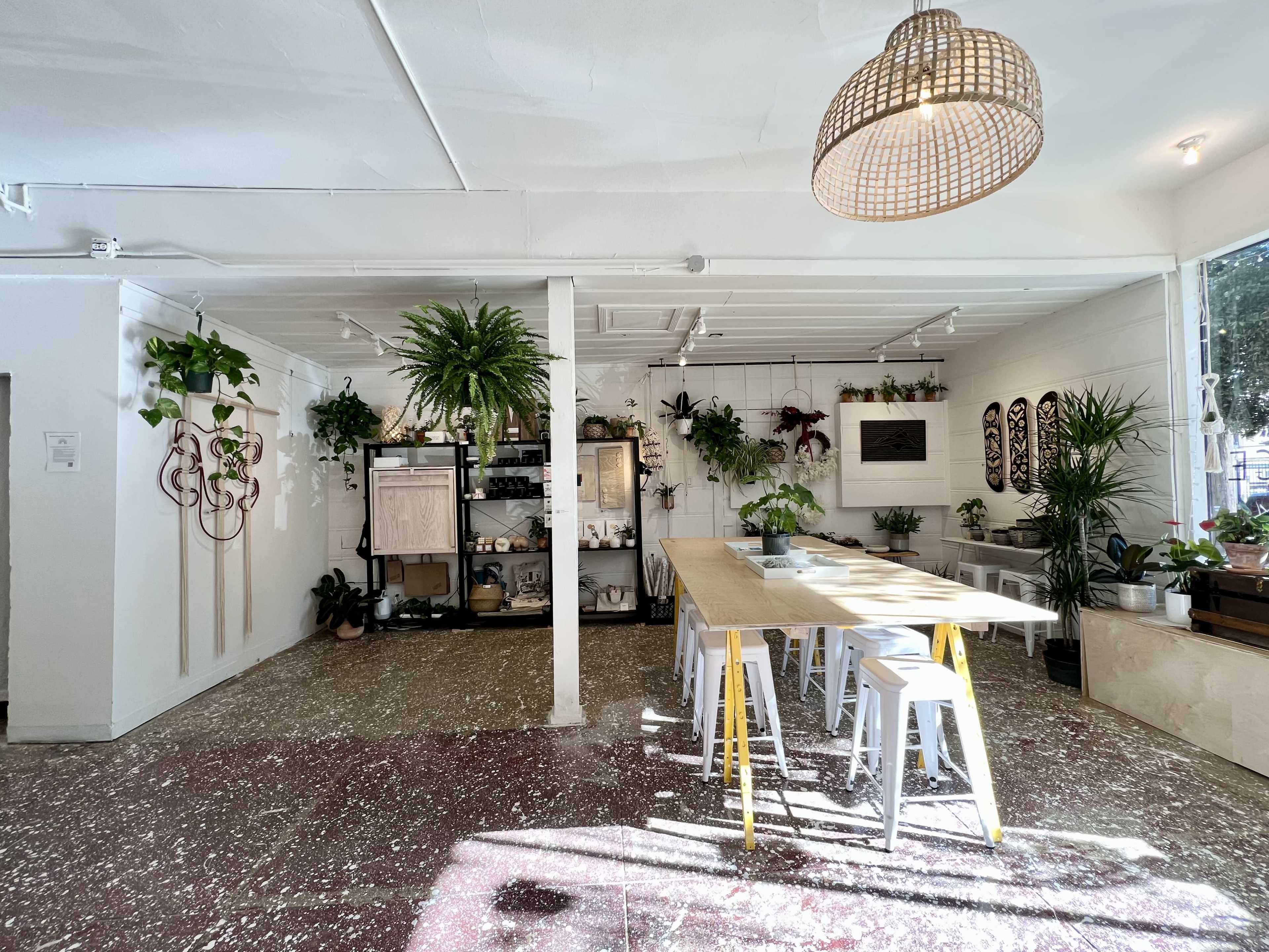 A bright interior space features a large wooden table surrounded by white stools, with various plants hanging and displayed around the room.