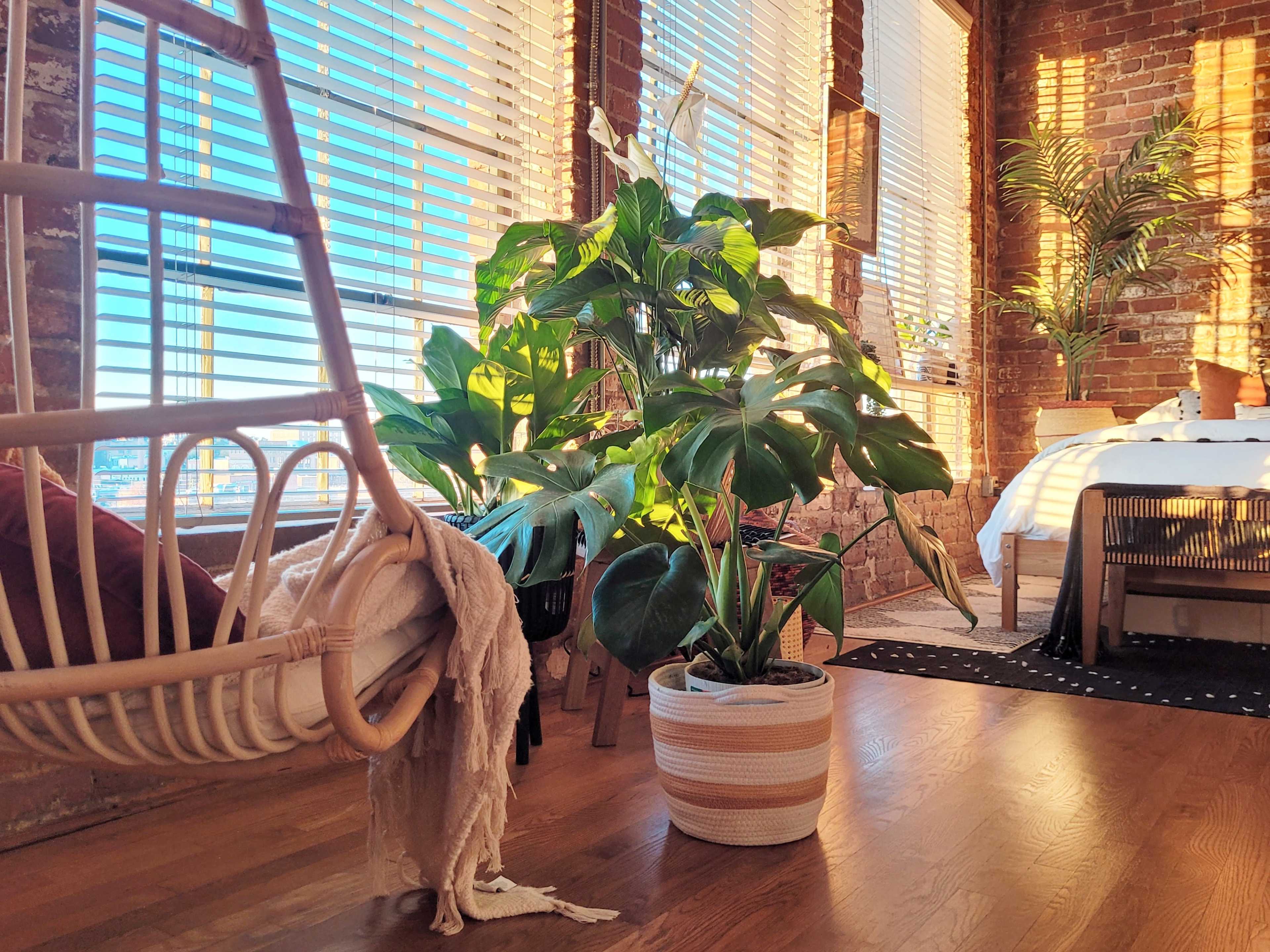 A bright room features a hanging chair, large potted plant, and a bed, all set against a backdrop of exposed brick walls and large windows.