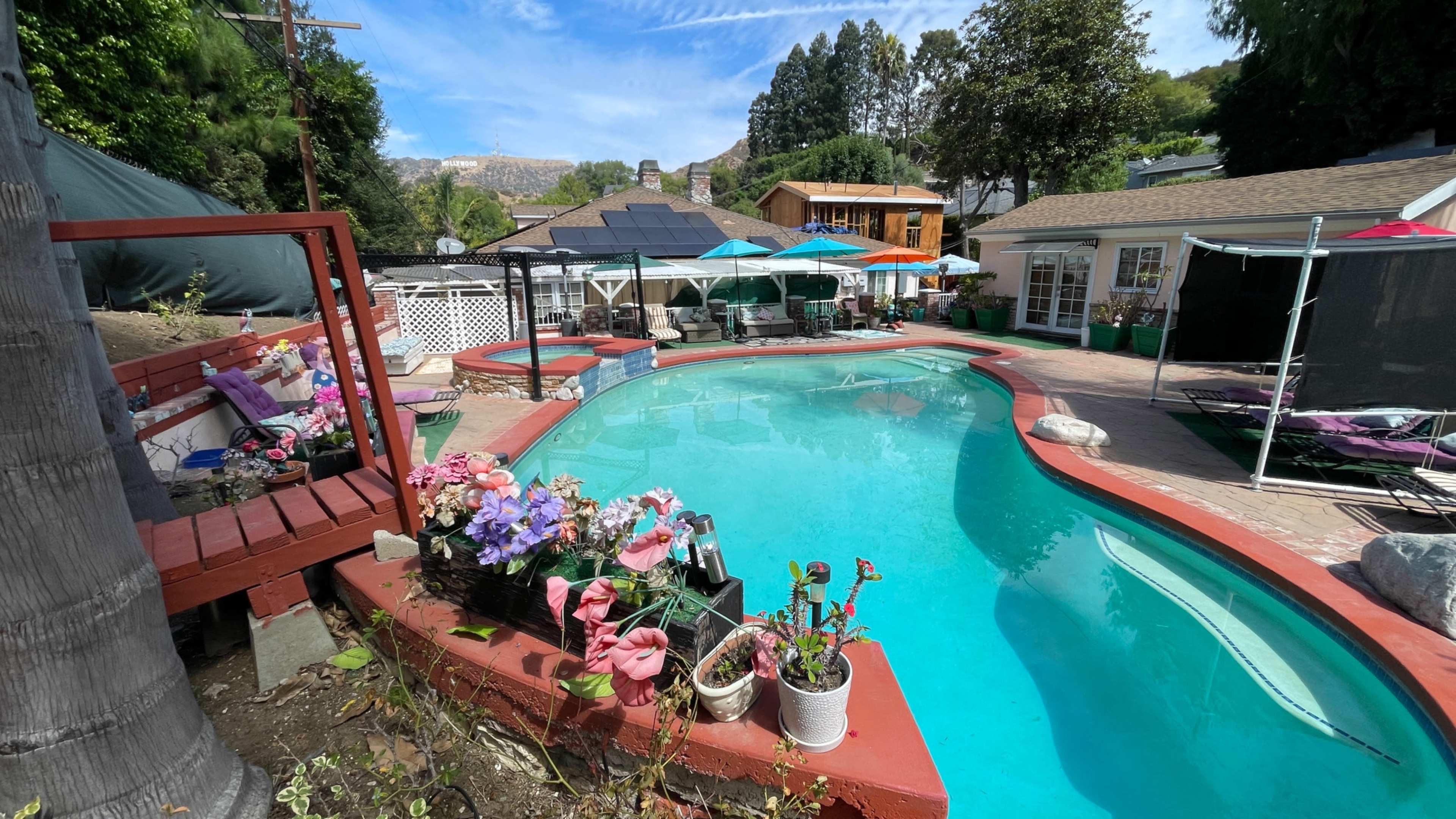 The image shows a backyard pool area with a shaped swimming pool surrounded by flowers, lounge chairs, and a few outdoor structures under a clear blue sky.