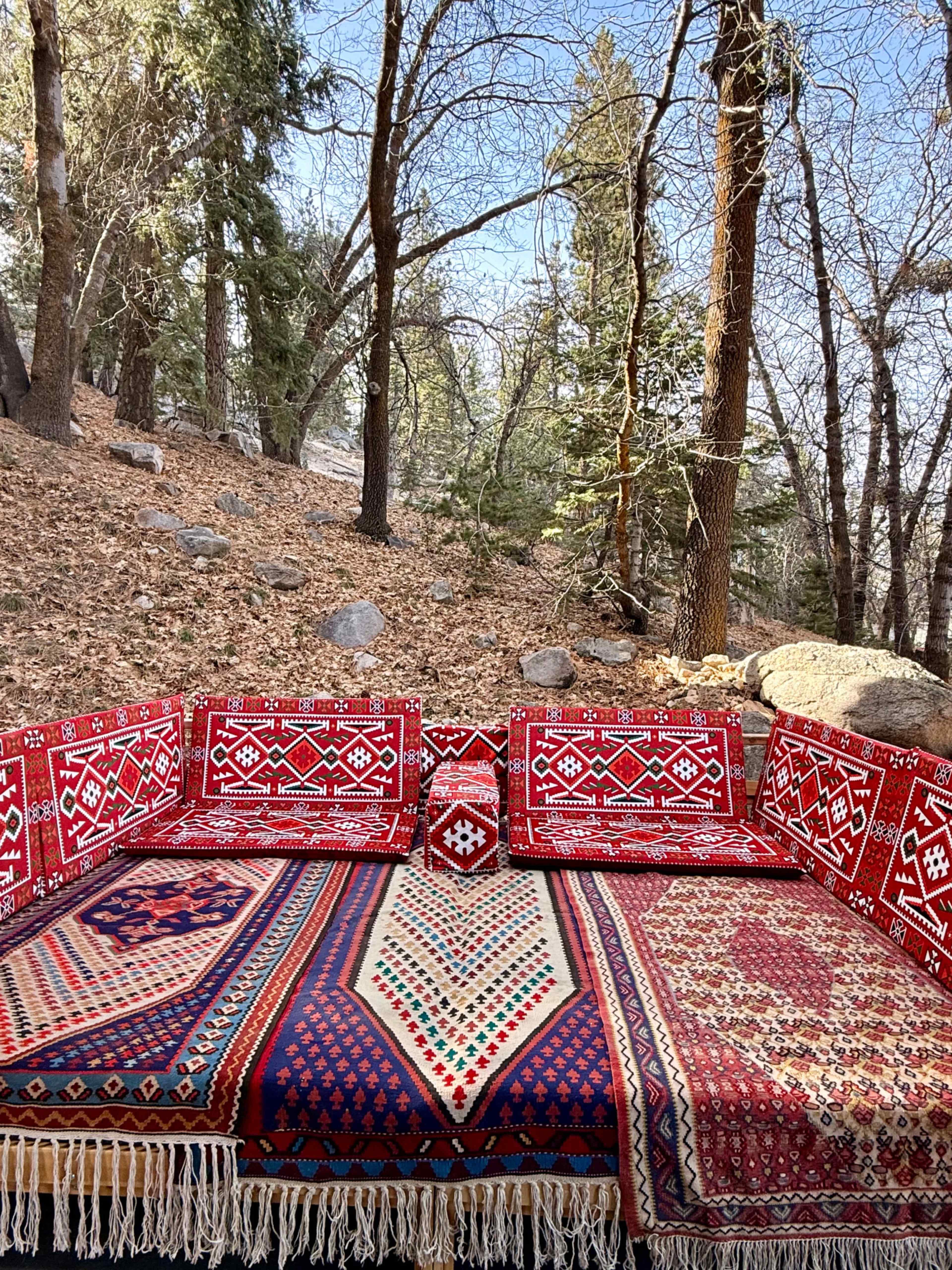 A colorful, patterned seating area is placed outdoors among a wooded landscape with scattered leaves on the ground.