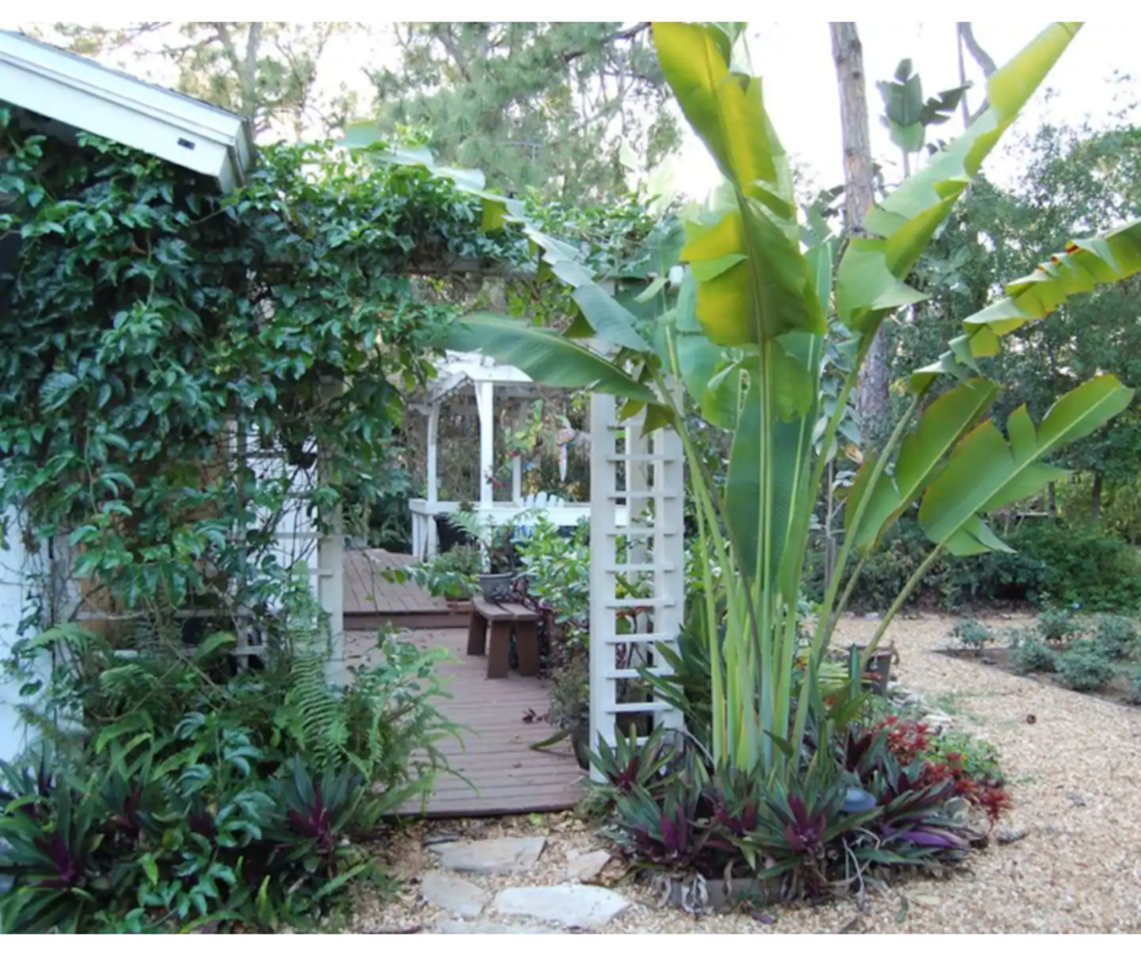 The image shows a garden pathway bordered by lush green plants and a wooden deck with white latticework in the background.