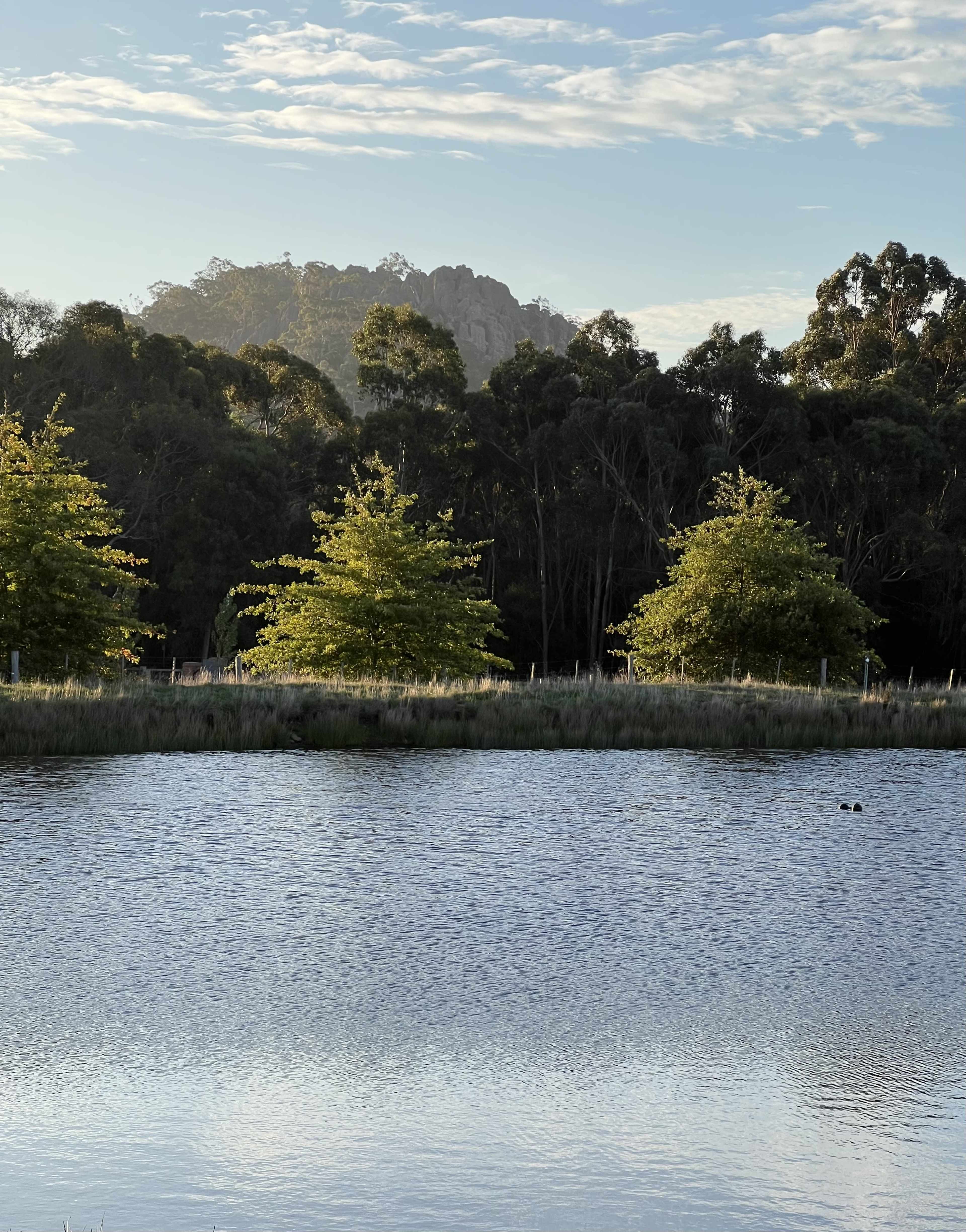 A calm water body reflects trees and a rocky hill under a clear sky.