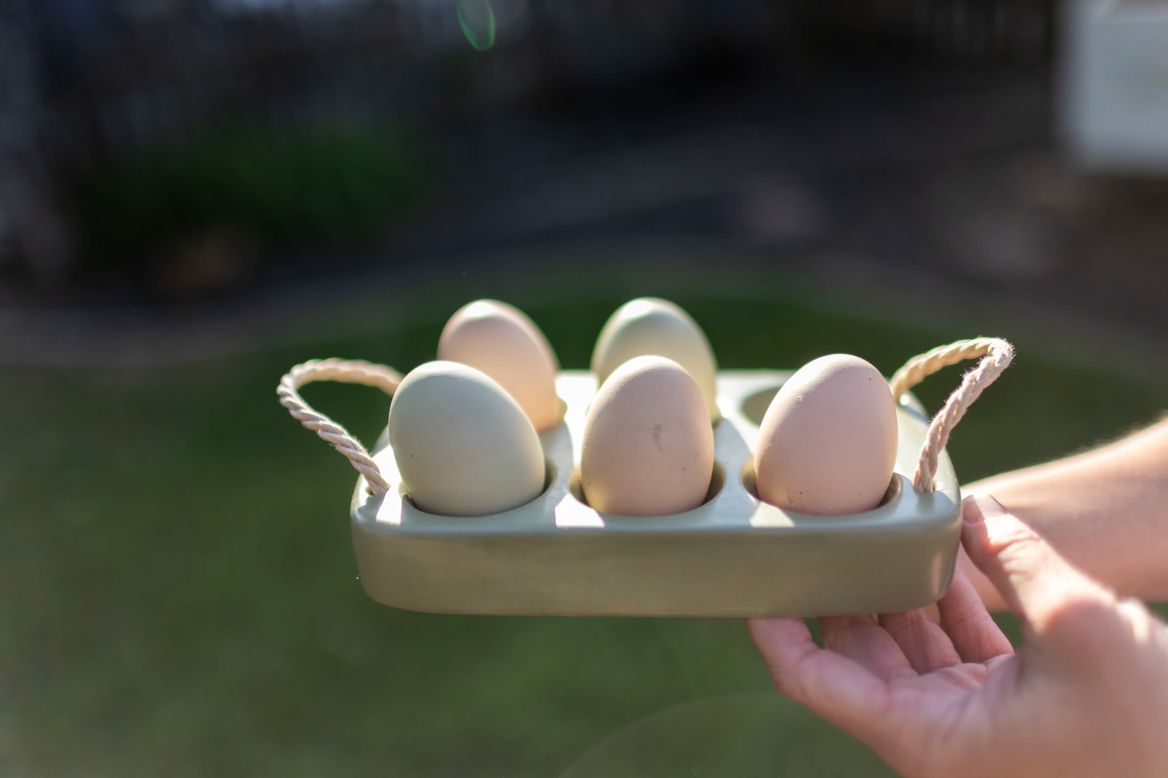 A person is holding a tray with six eggs of varying colors and shapes.