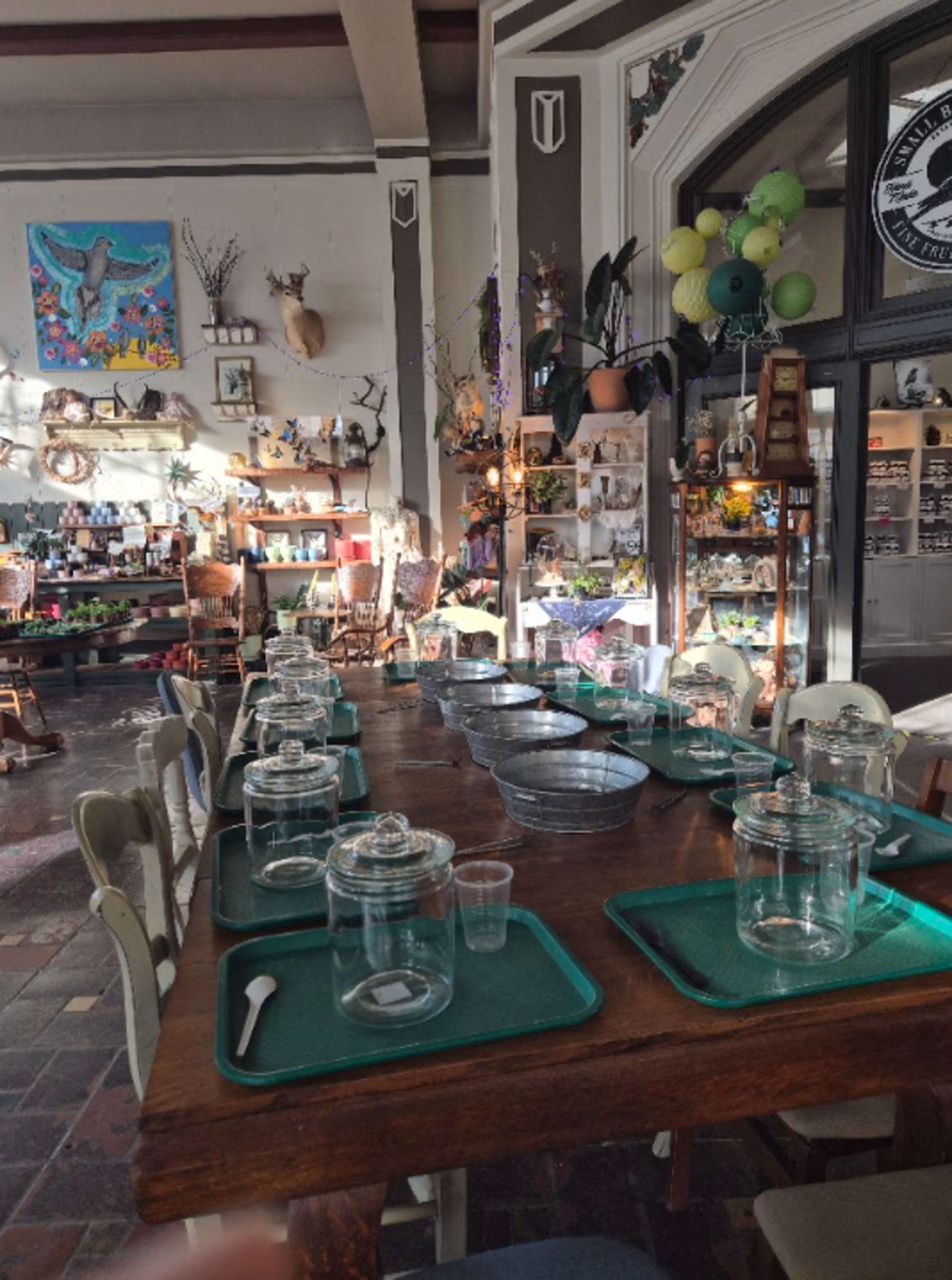 The image shows a long wooden table set with glass containers and trays in a decorated indoor space, featuring various plants and art displayed on the walls.