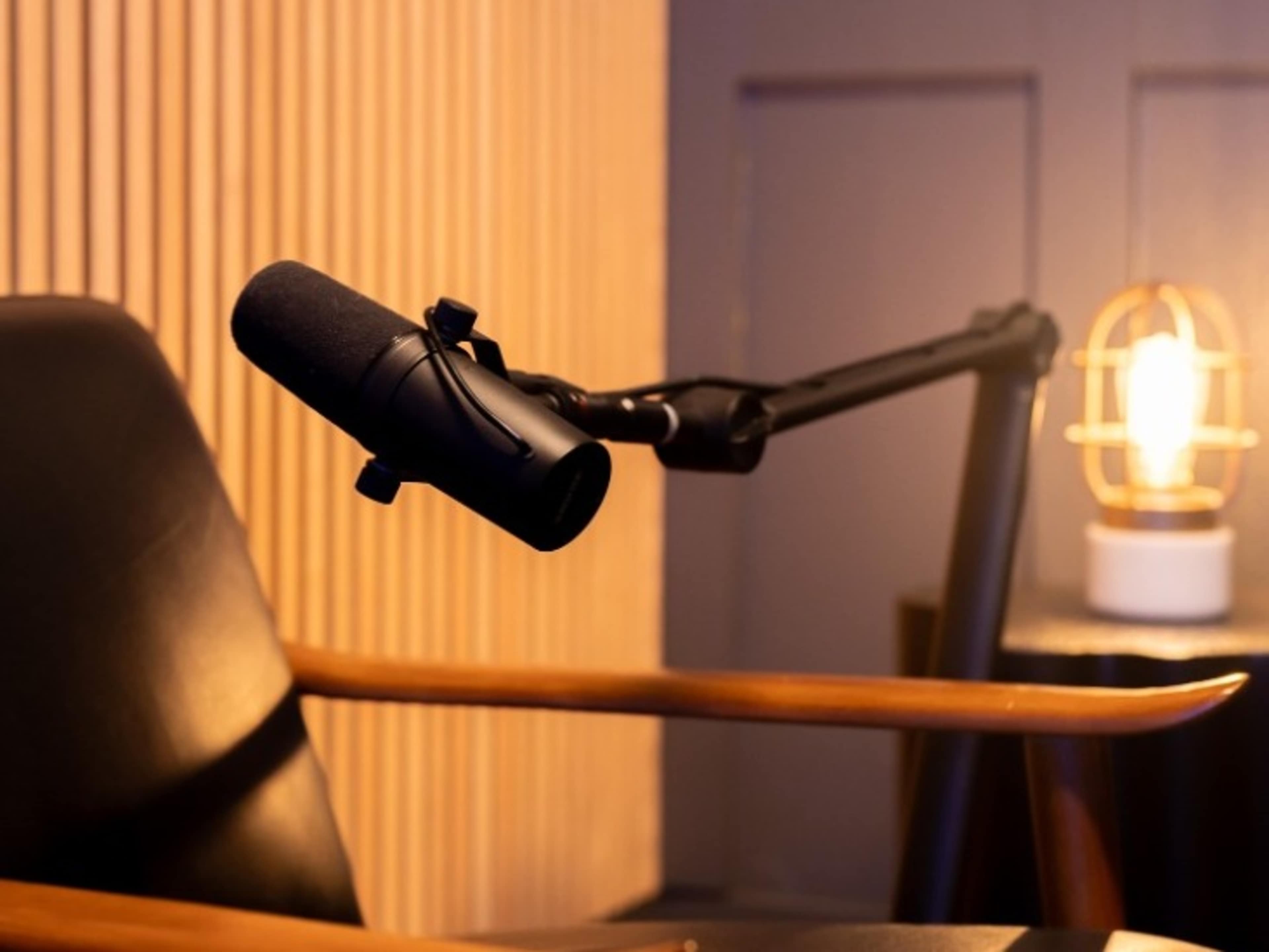 Shure SM7B Microphone
