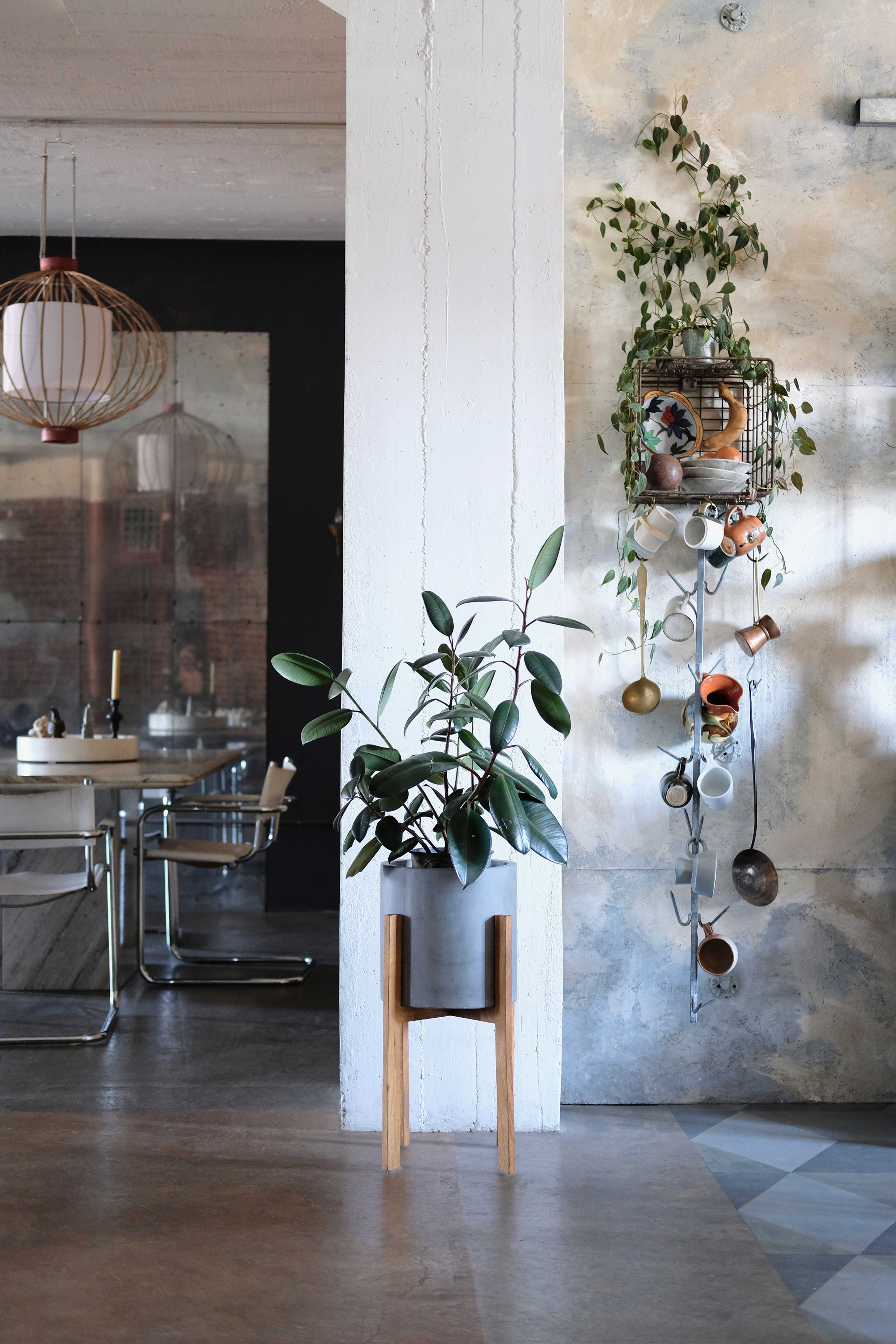 A potted plant on a wooden stand is positioned next to a wall adorned with various hanging pots, while a dining area with modern furniture is visible in the background.