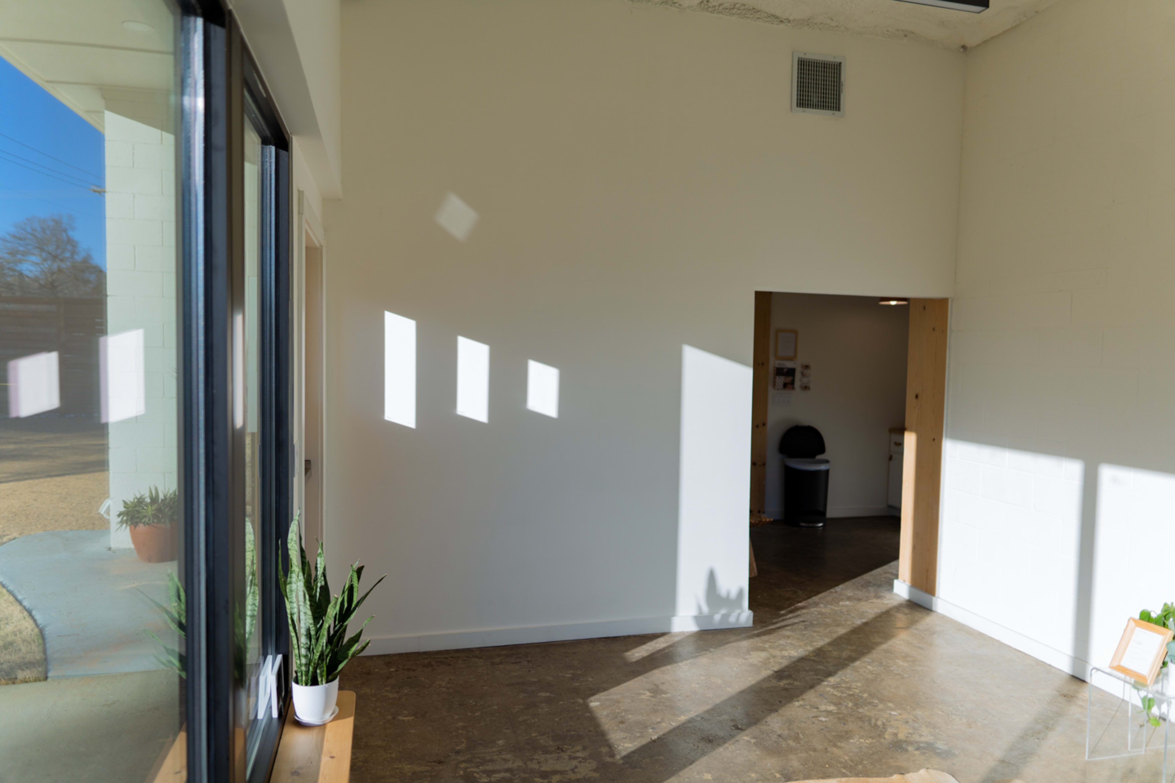 A brightly lit interior features a corner with a large window, potted plants, and a doorway leading to another room.