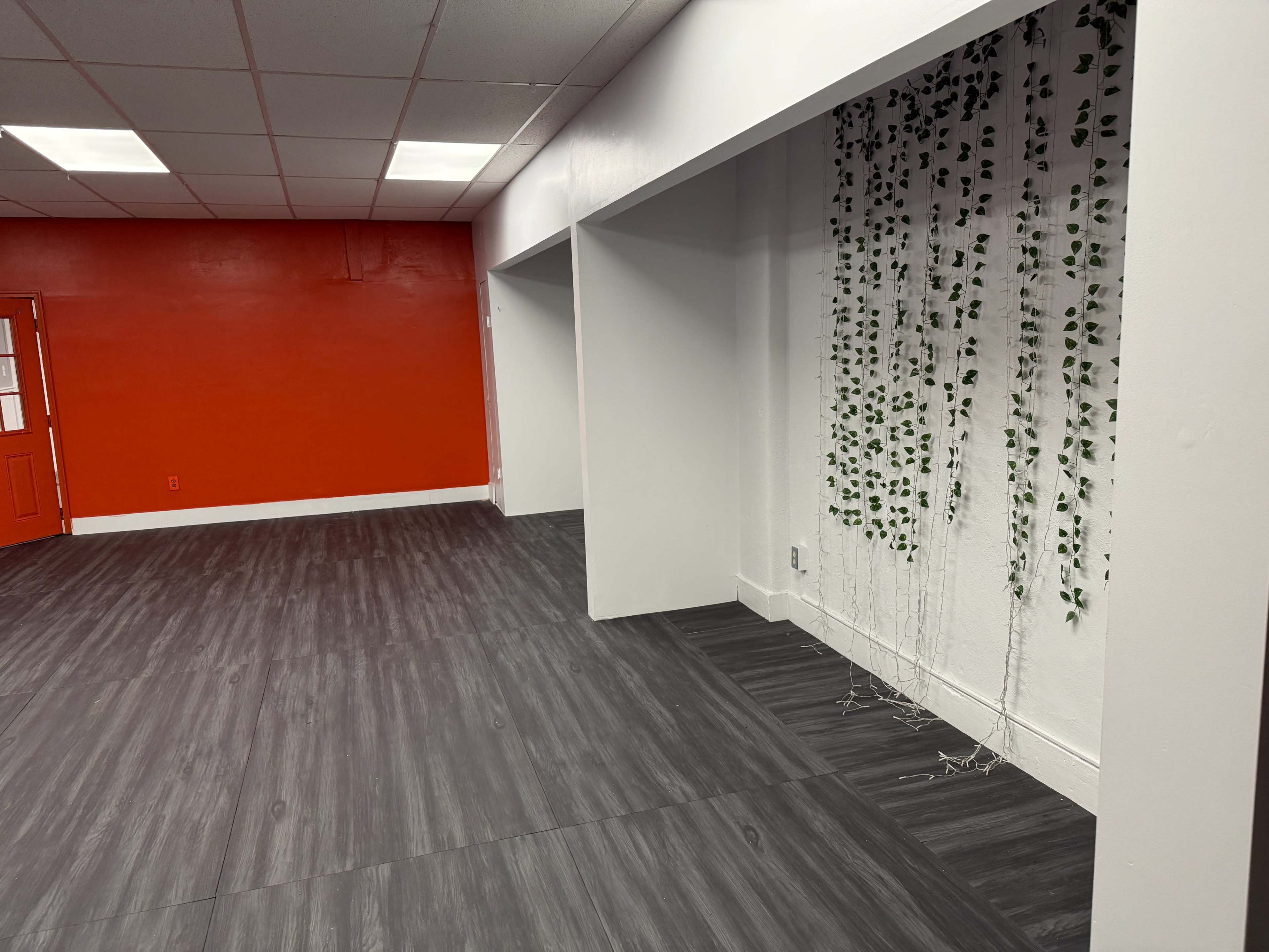 The image shows an empty room with a red accent wall and a section decorated with green artificial vines against a white wall.