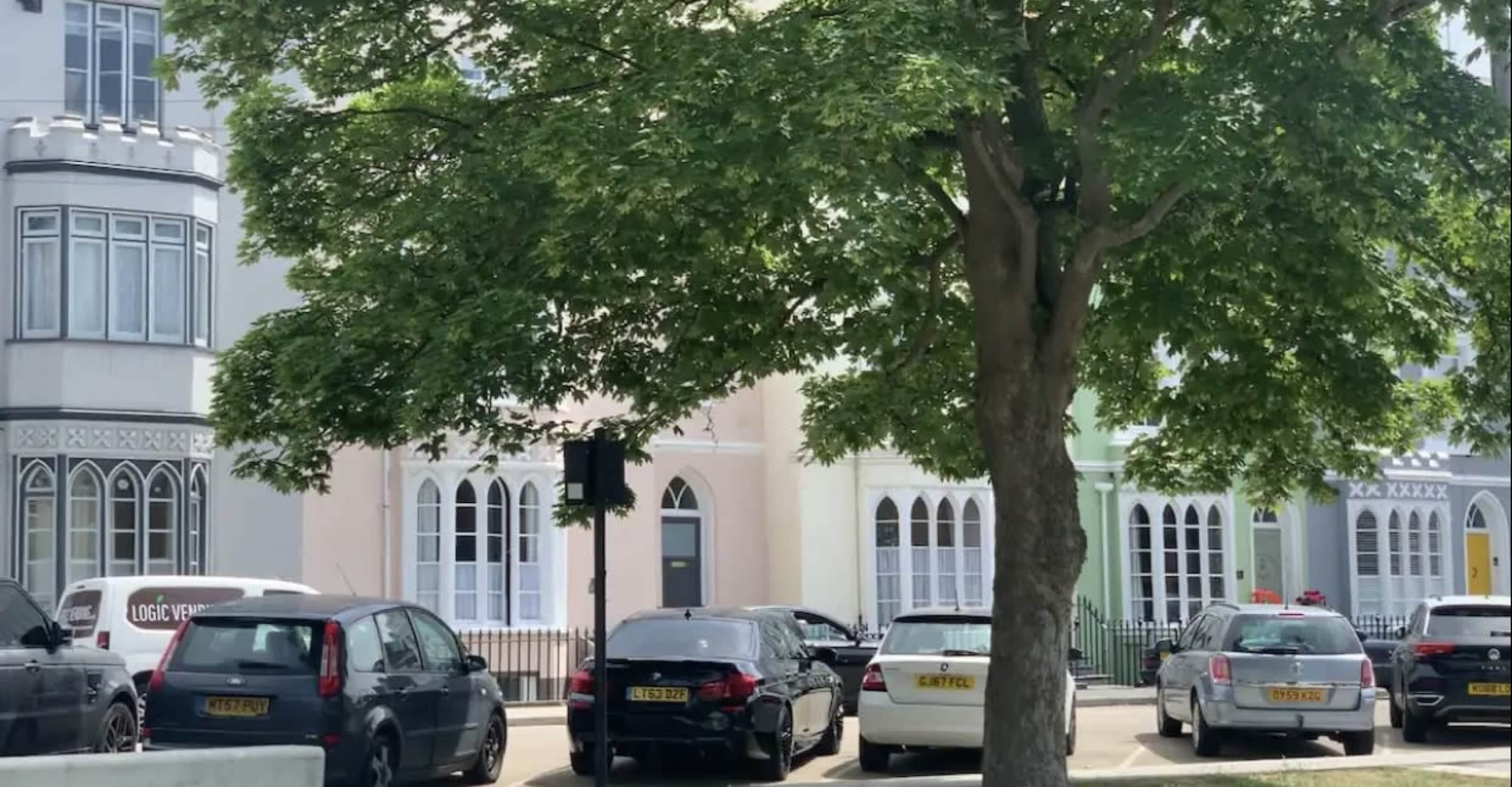 The image shows a row of colorful houses behind a large tree, with parked cars lining the street.