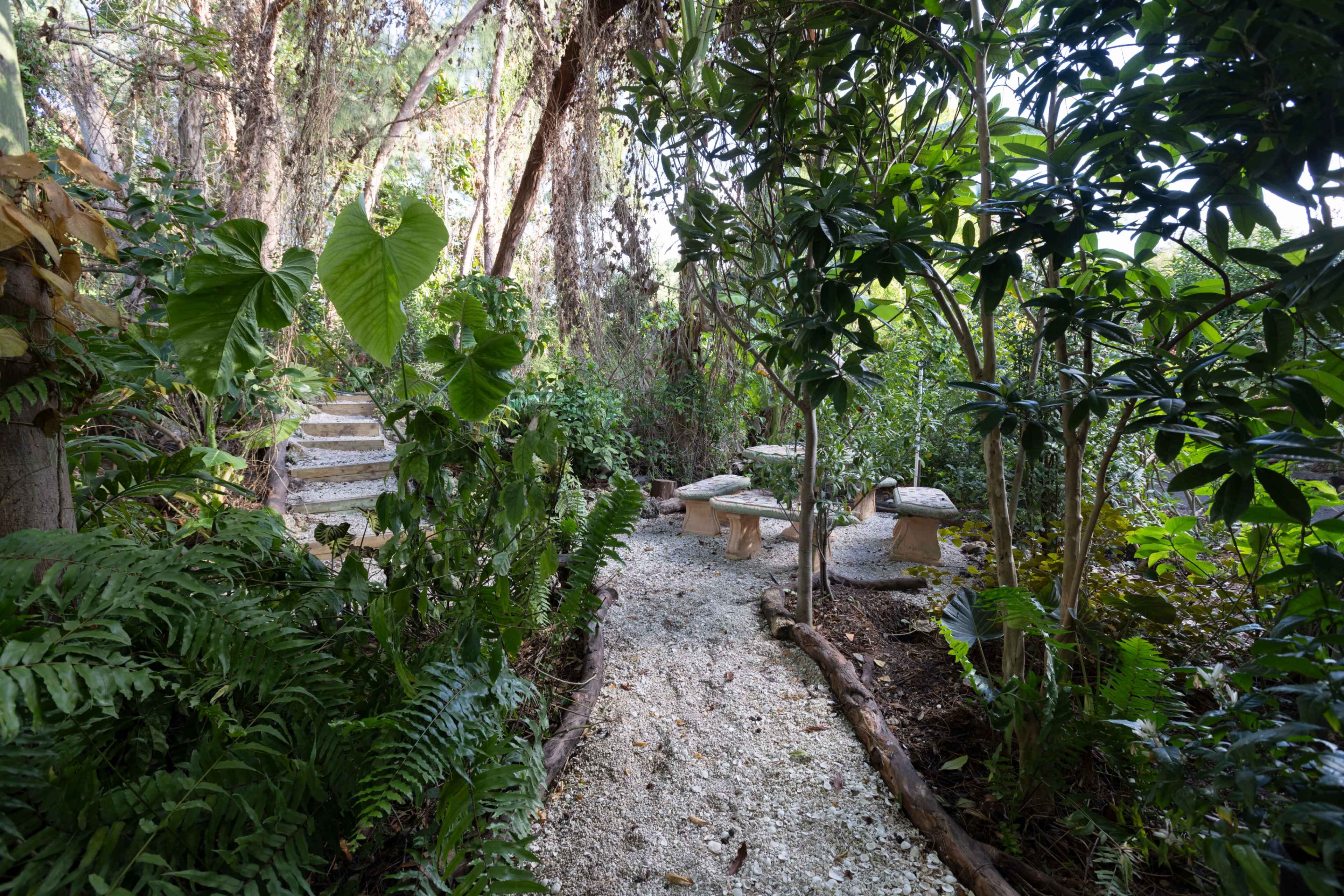 A winding gravel path leads through a lush garden filled with various plants and trees, with stone seating areas visible along the way.