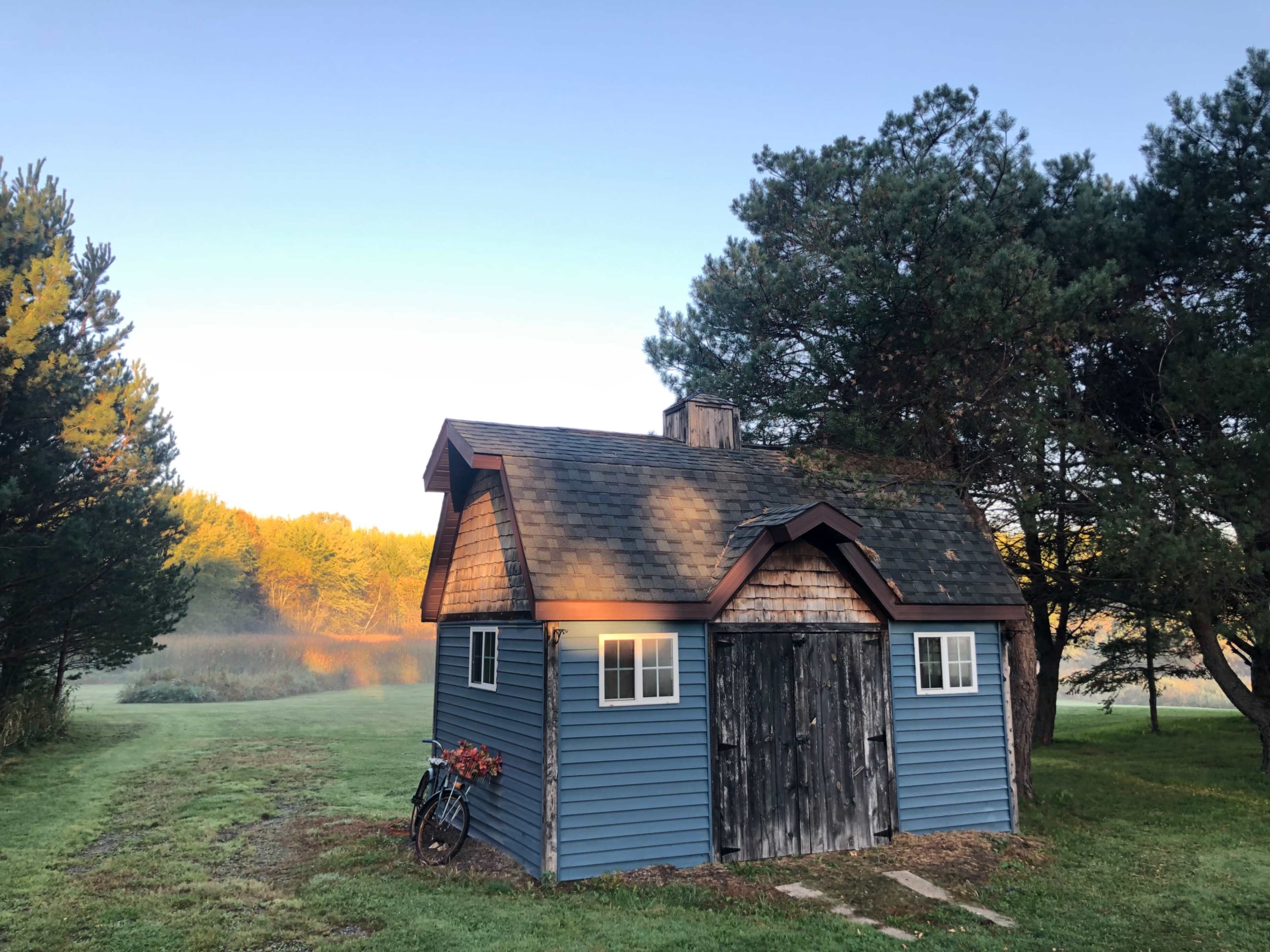 A small blue shed with a wooden door and bicycle leans against it, surrounded by tall trees and grass near a misty pond.