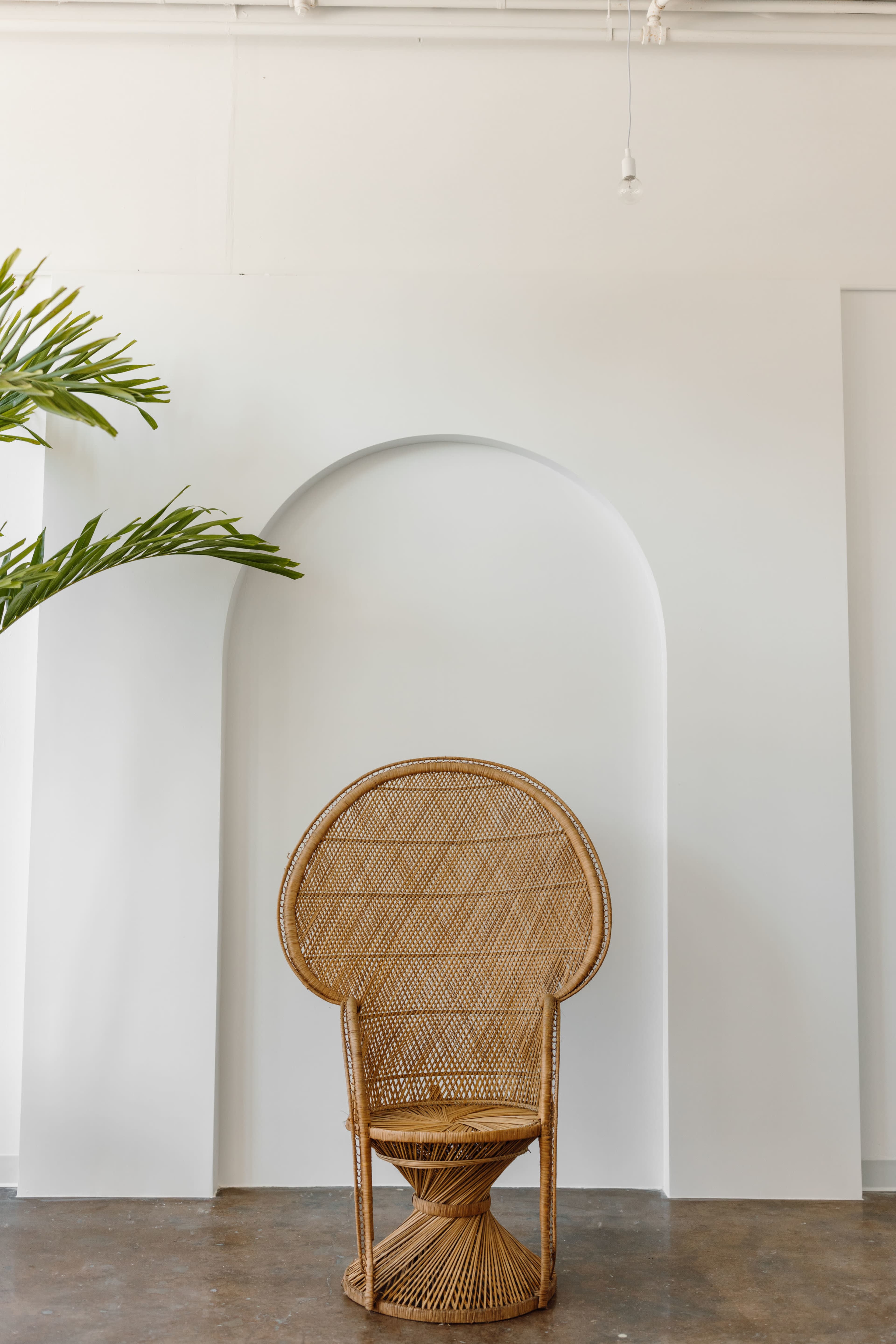A rattan chair sits in front of a white wall featuring an arched cutout, with a green plant positioned to the left.