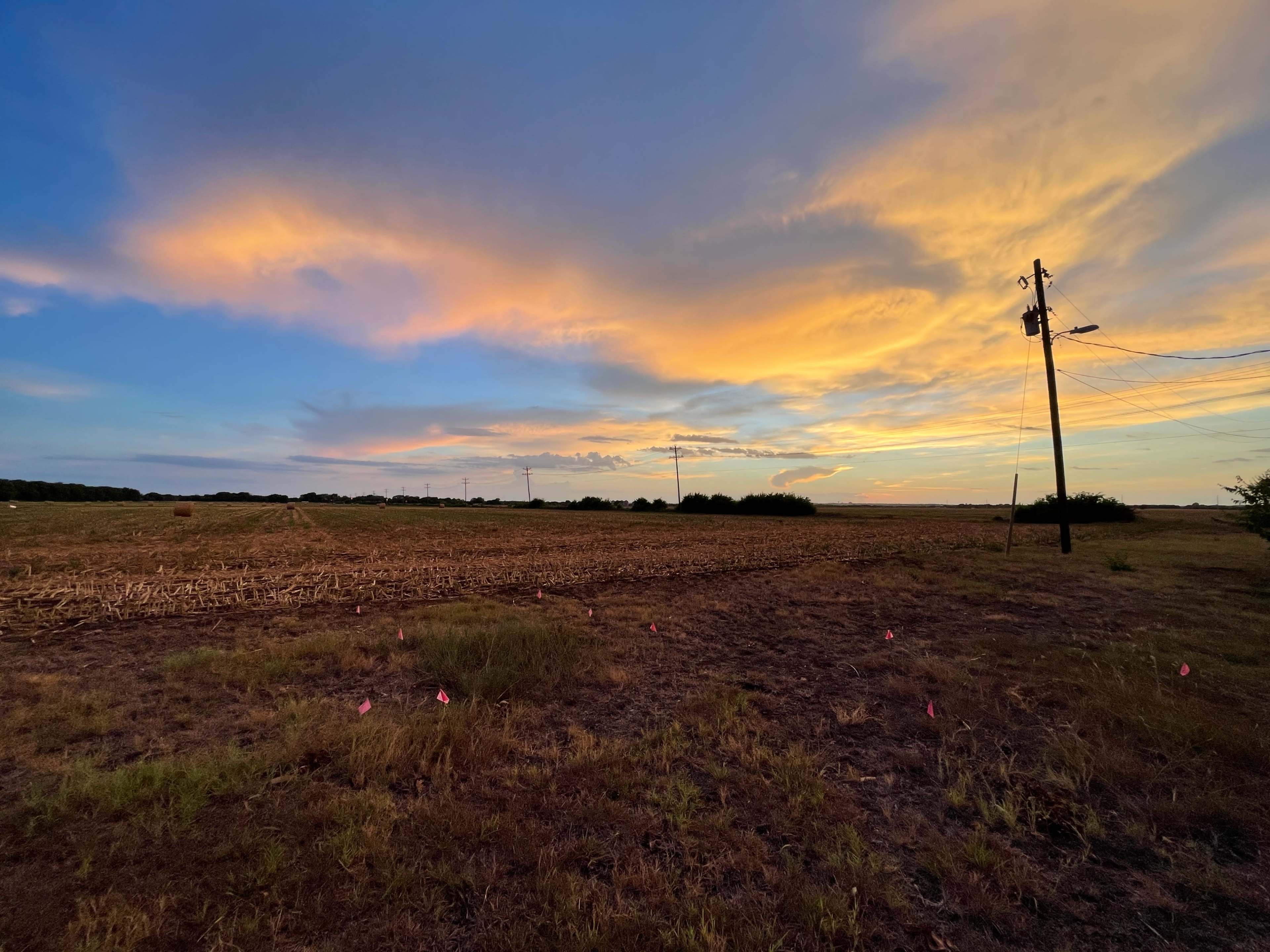 A field with scattered pink flags stretches under a sky filled with colorful clouds at sunset, accompanied by power lines in the distance.