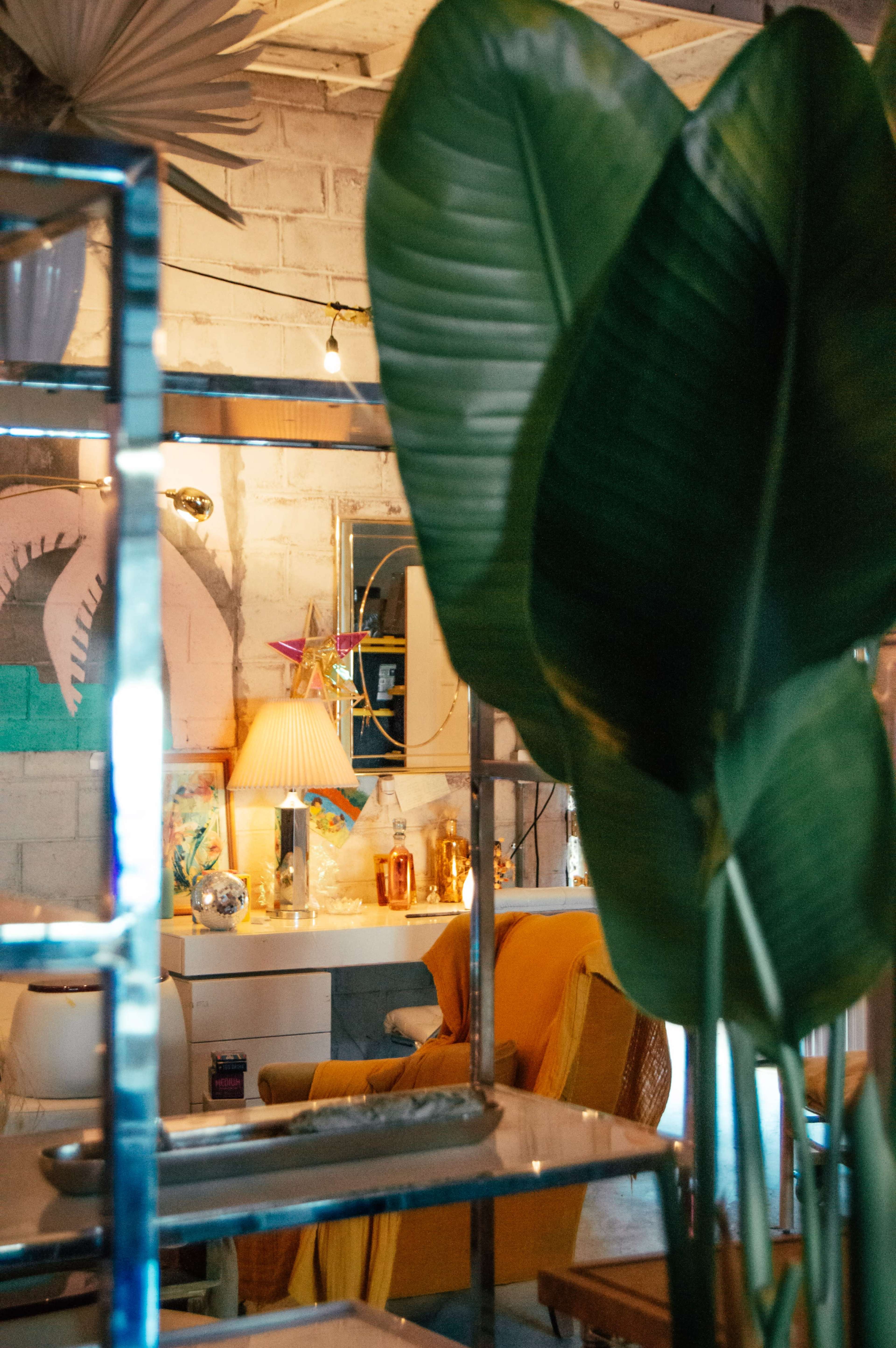 A vibrant interior space features a desk with decor and a lamp, partially obscured by large green foliage.